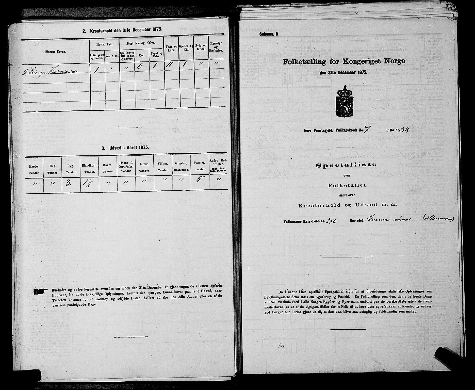 SAKO, 1875 census for 0633P Nore, 1875, p. 918