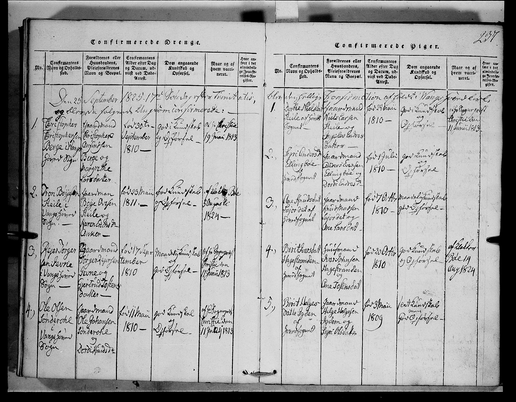 Vang prestekontor, Valdres, SAH/PREST-140/H/Hb/L0001: Parish register (copy) no. 1, 1814-1820, p. 237