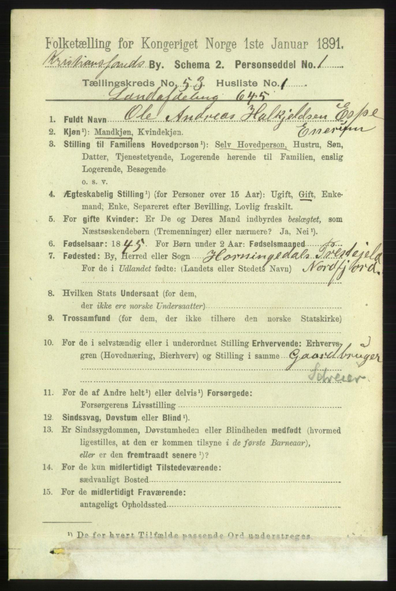 RA, 1891 census for 1001 Kristiansand, 1891, p. 15252