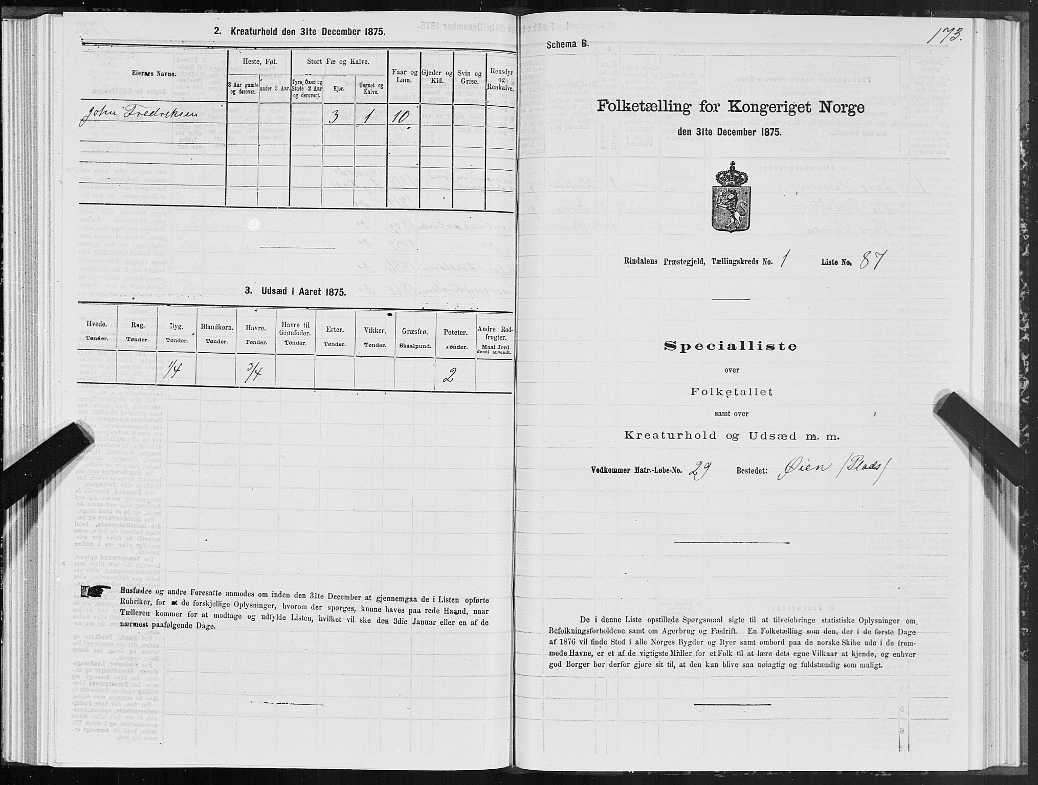 SAT, 1875 census for 1567P Rindal, 1875, p. 1173