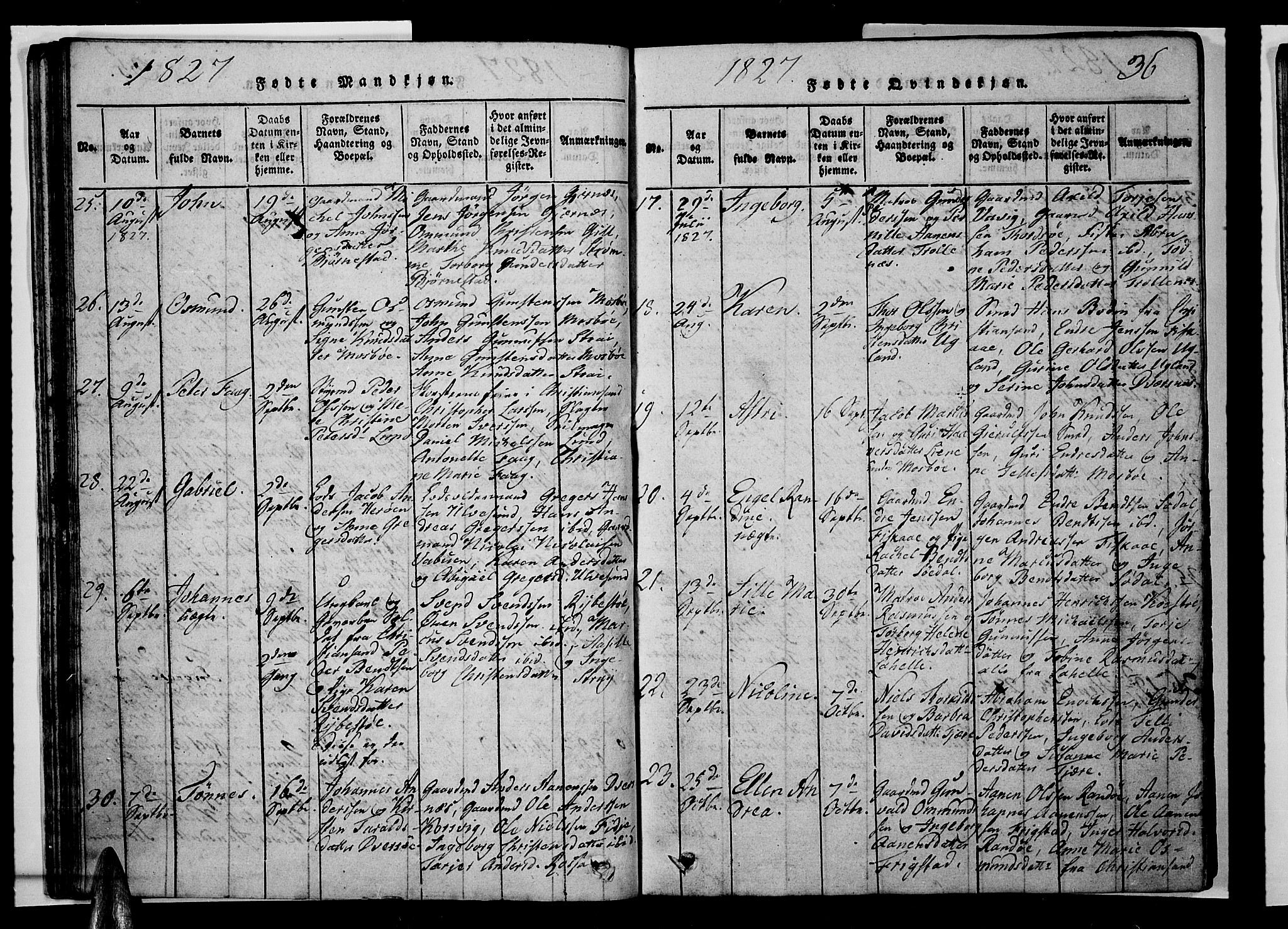 Oddernes sokneprestkontor, AV/SAK-1111-0033/F/Fb/Fba/L0003: Parish register (copy) no. B 3, 1820-1838, p. 36