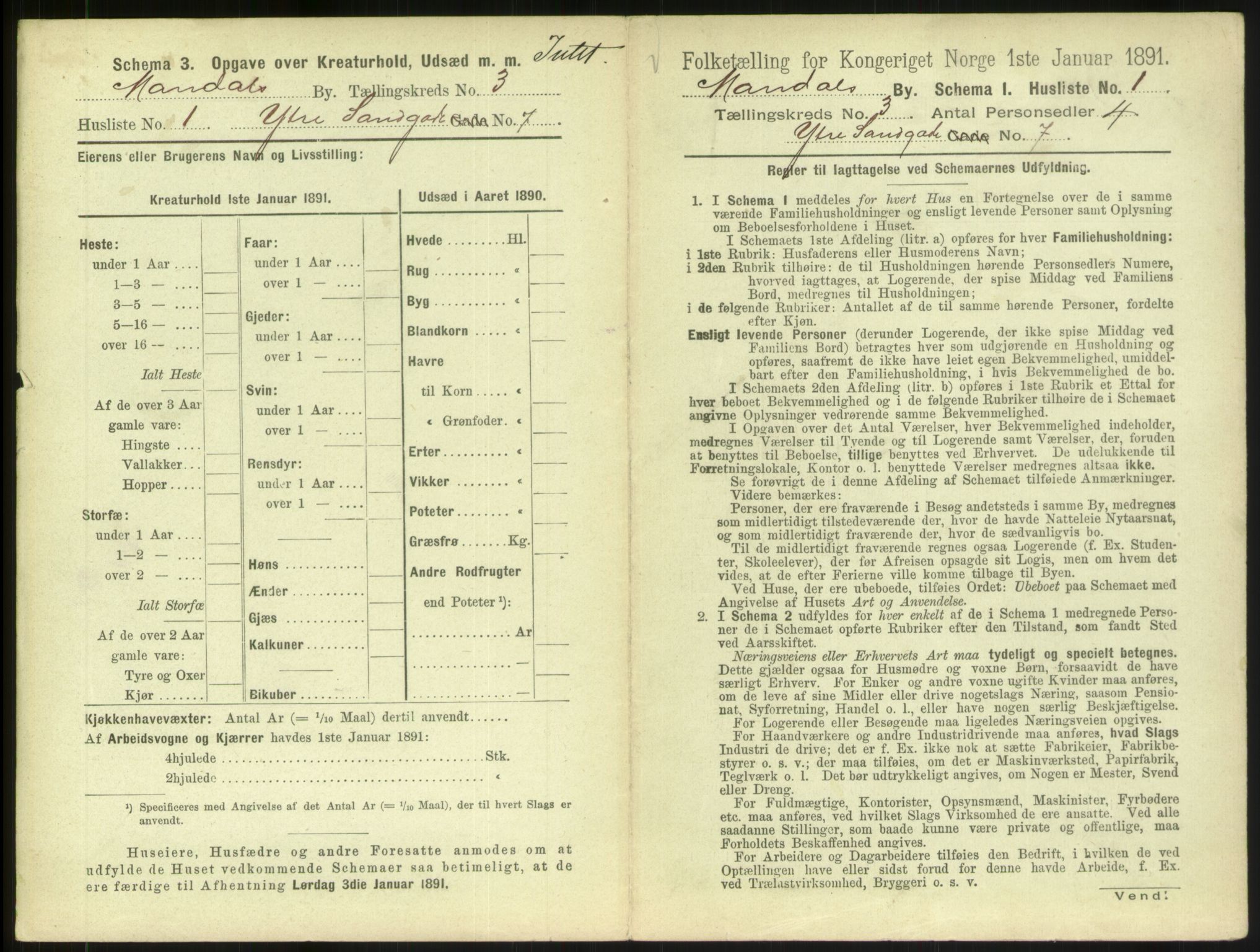 RA, 1891 census for 1002 Mandal, 1891, p. 163