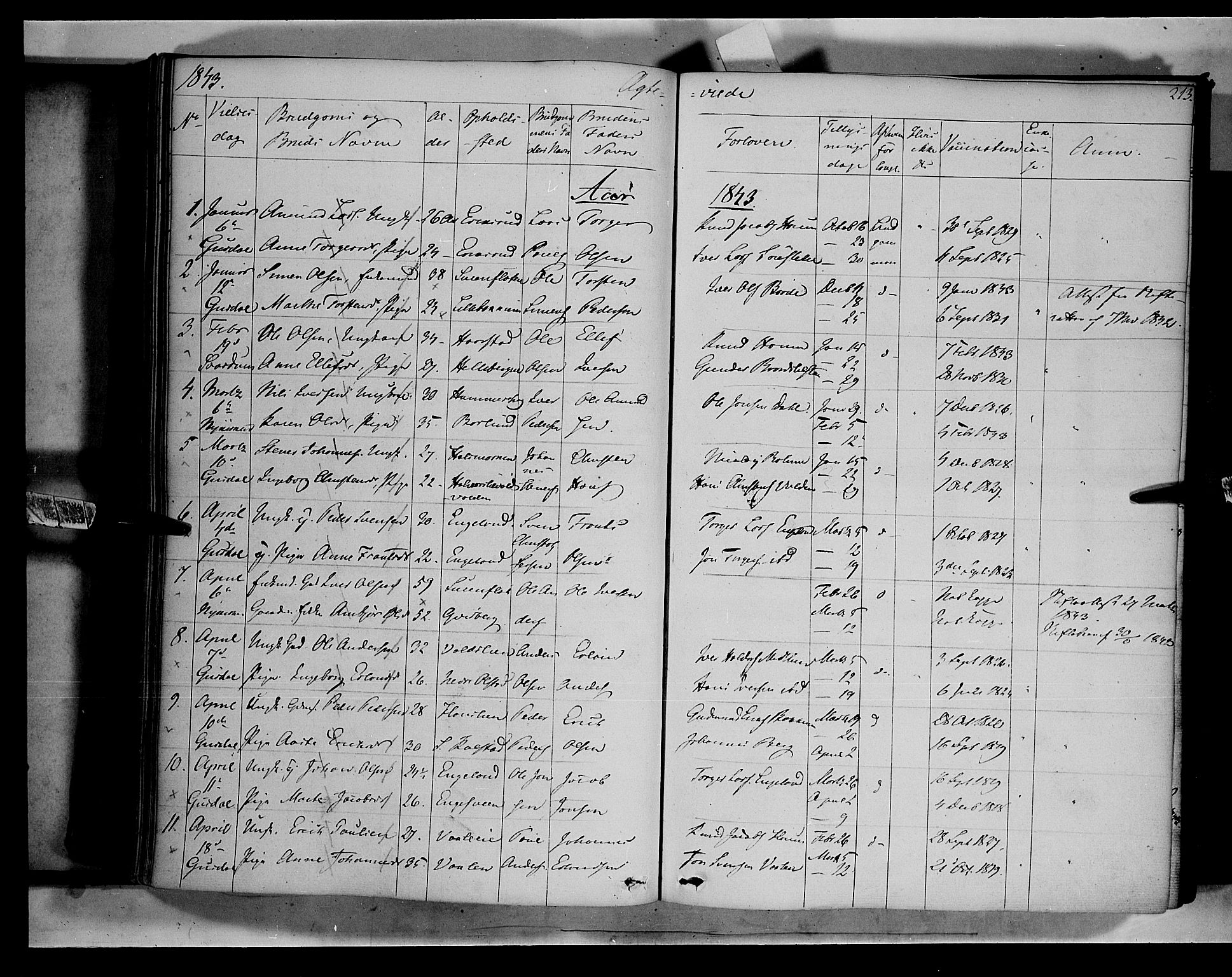 Gausdal prestekontor, SAH/PREST-090/H/Ha/Haa/L0007: Parish register (official) no. 7, 1840-1850, p. 213