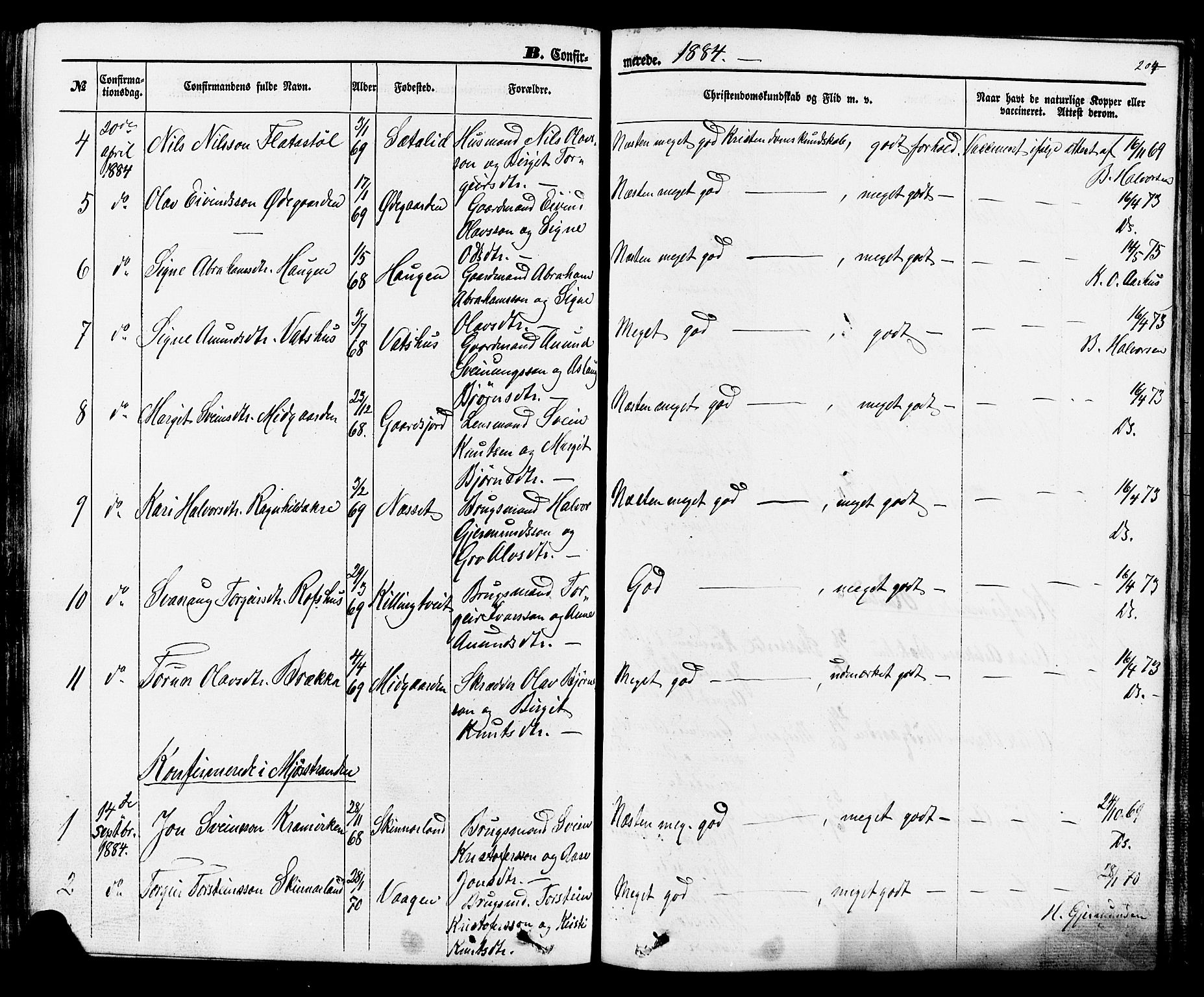 Rauland kirkebøker, AV/SAKO-A-292/F/Fa/L0003: Parish register (official) no. I 3, 1859-1886, p. 204