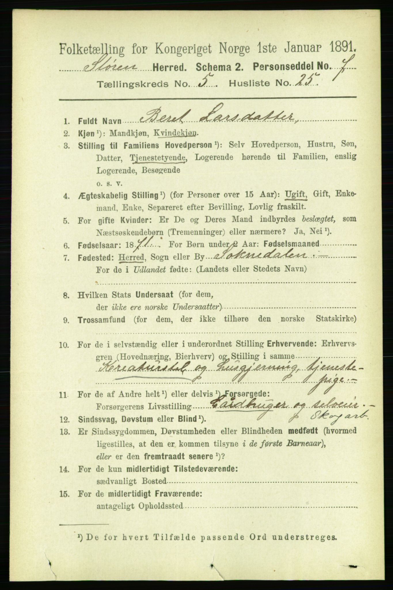 RA, 1891 census for 1648 Støren, 1891, p. 2079