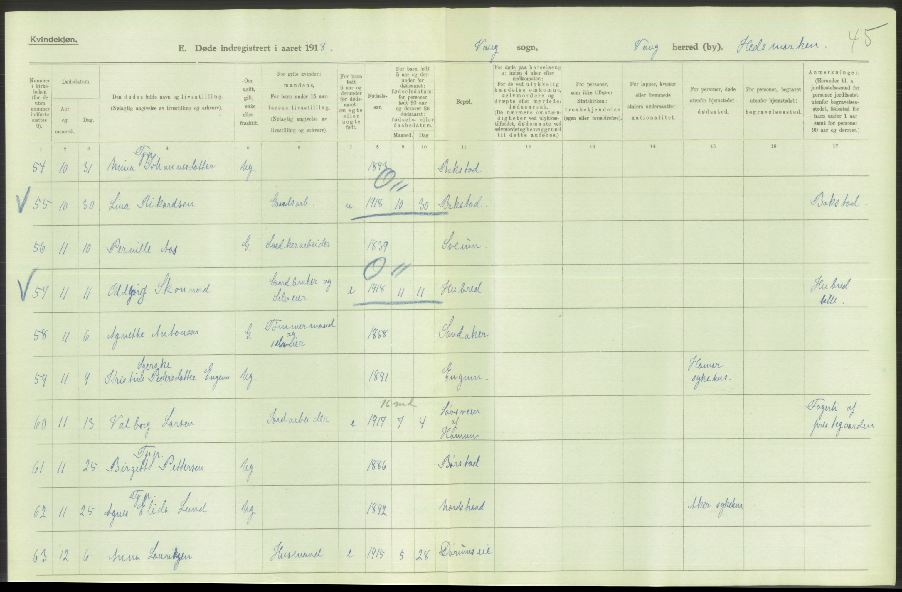 Statistisk sentralbyrå, Sosiodemografiske emner, Befolkning, AV/RA-S-2228/D/Df/Dfb/Dfbh/L0014: Hedemarkens fylke: Døde. Bygder og byer., 1918, p. 212