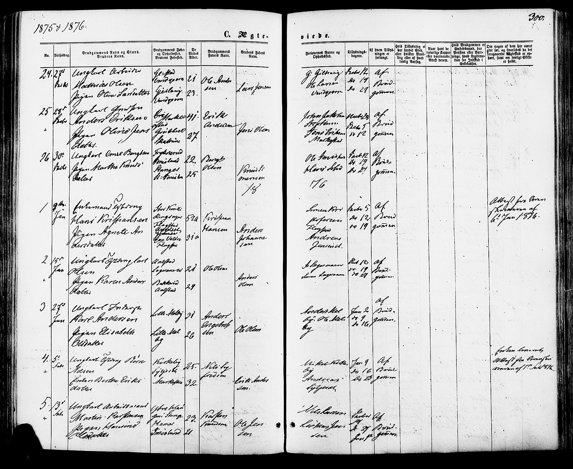 Vang prestekontor, Hedmark, AV/SAH-PREST-008/H/Ha/Haa/L0015: Parish register (official) no. 15, 1871-1885, p. 300