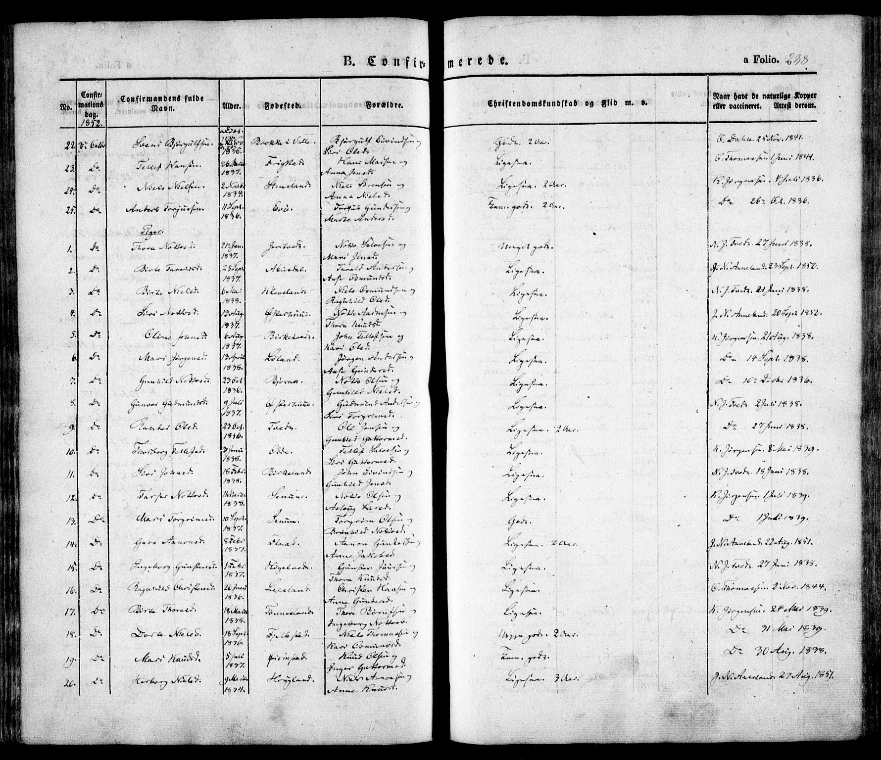 Evje sokneprestkontor, AV/SAK-1111-0008/F/Fa/Faa/L0005: Parish register (official) no. A 5, 1843-1865, p. 238