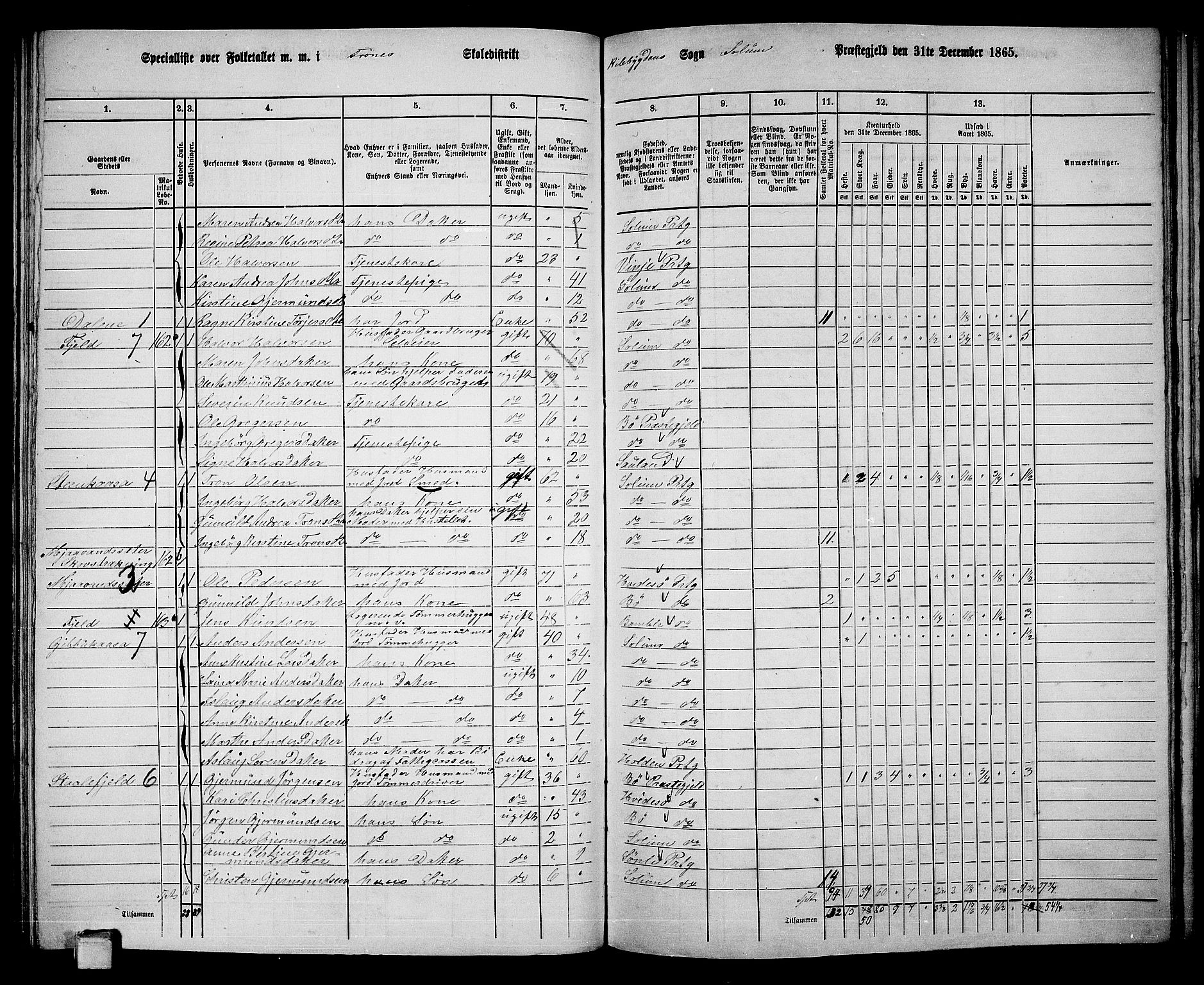 RA, 1865 census for Solum, 1865, p. 140