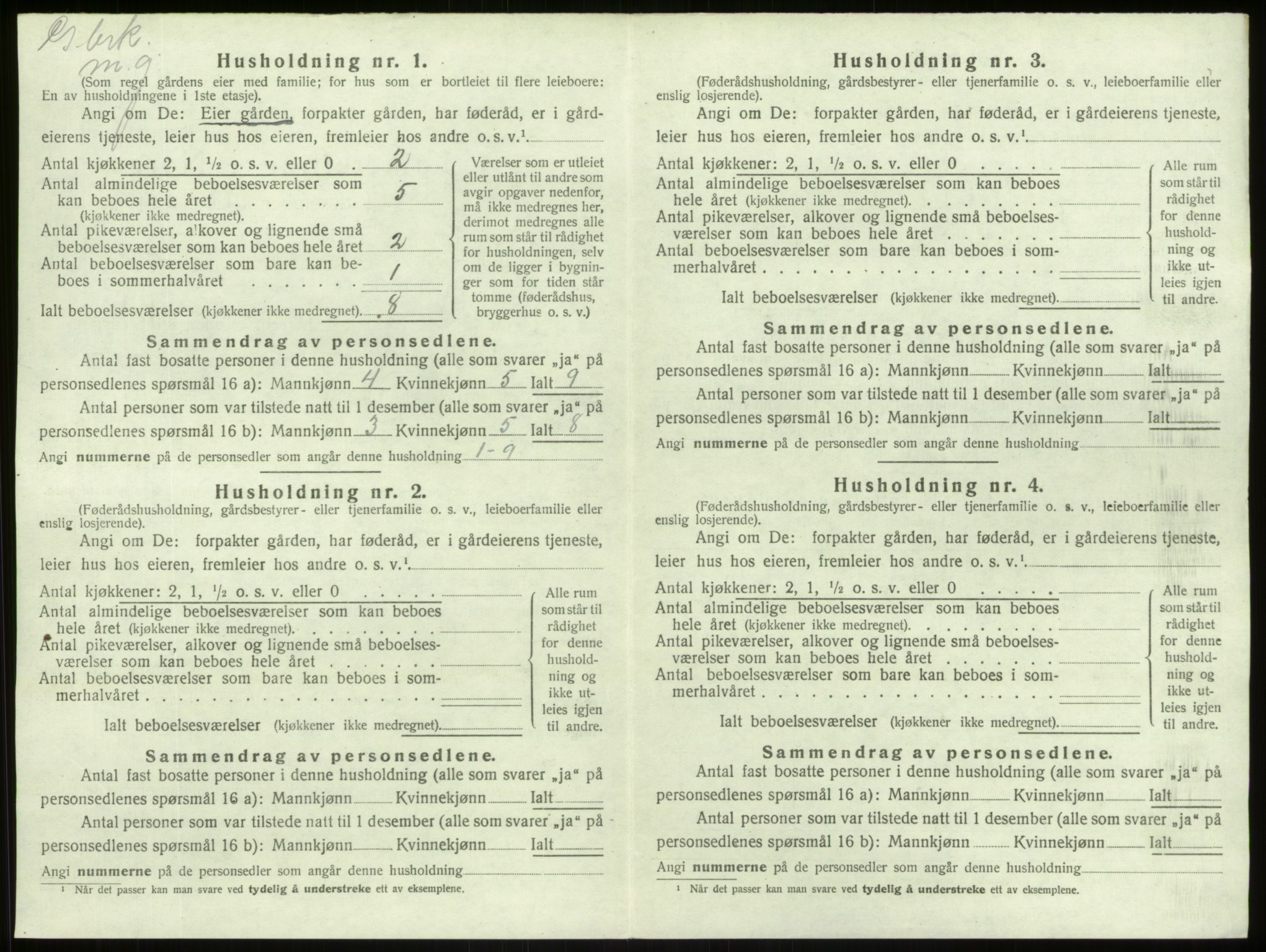 SAB, 1920 census for Lærdal, 1920, p. 128