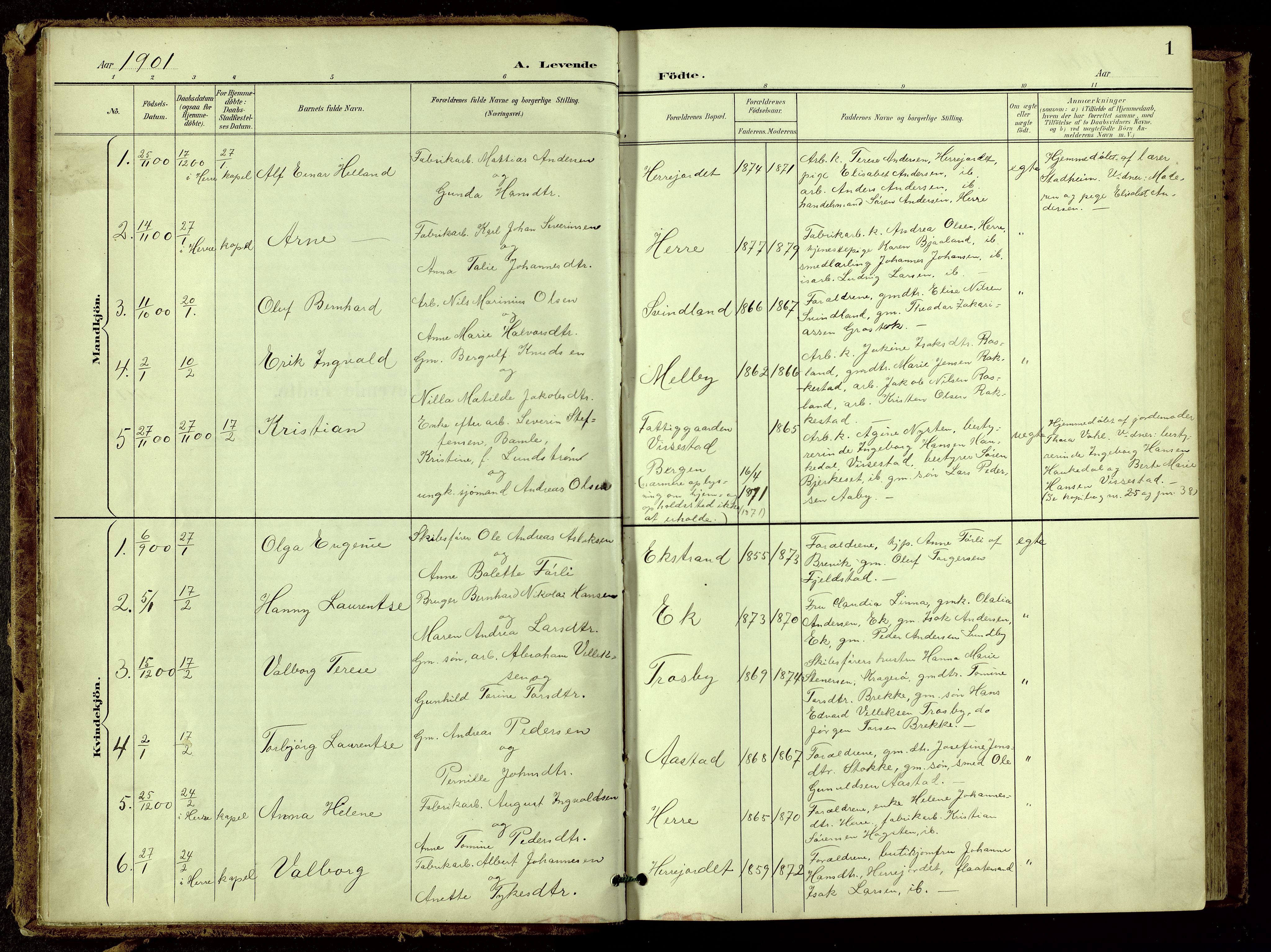 Bamble kirkebøker, SAKO/A-253/G/Ga/L0010: Parish register (copy) no. I 10, 1901-1919, p. 1