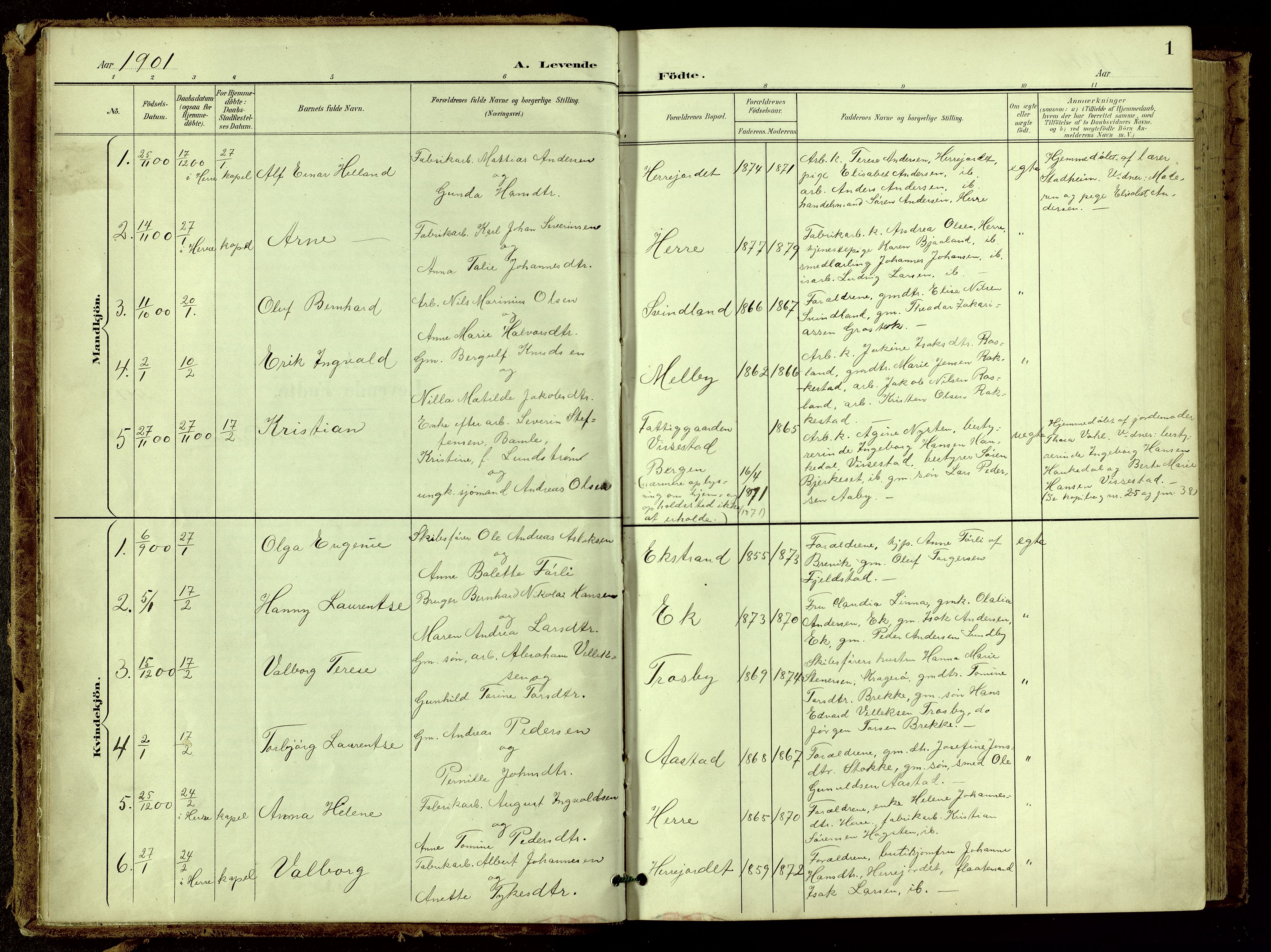 Bamble kirkebøker, AV/SAKO-A-253/G/Ga/L0010: Parish register (copy) no. I 10, 1901-1919, p. 1