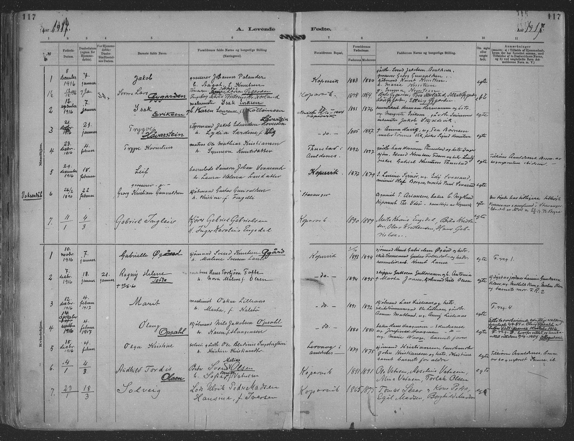 Kopervik sokneprestkontor, SAST/A-101850/H/Ha/Haa/L0001: Parish register (official) no. A 1, 1880-1919, p. 117