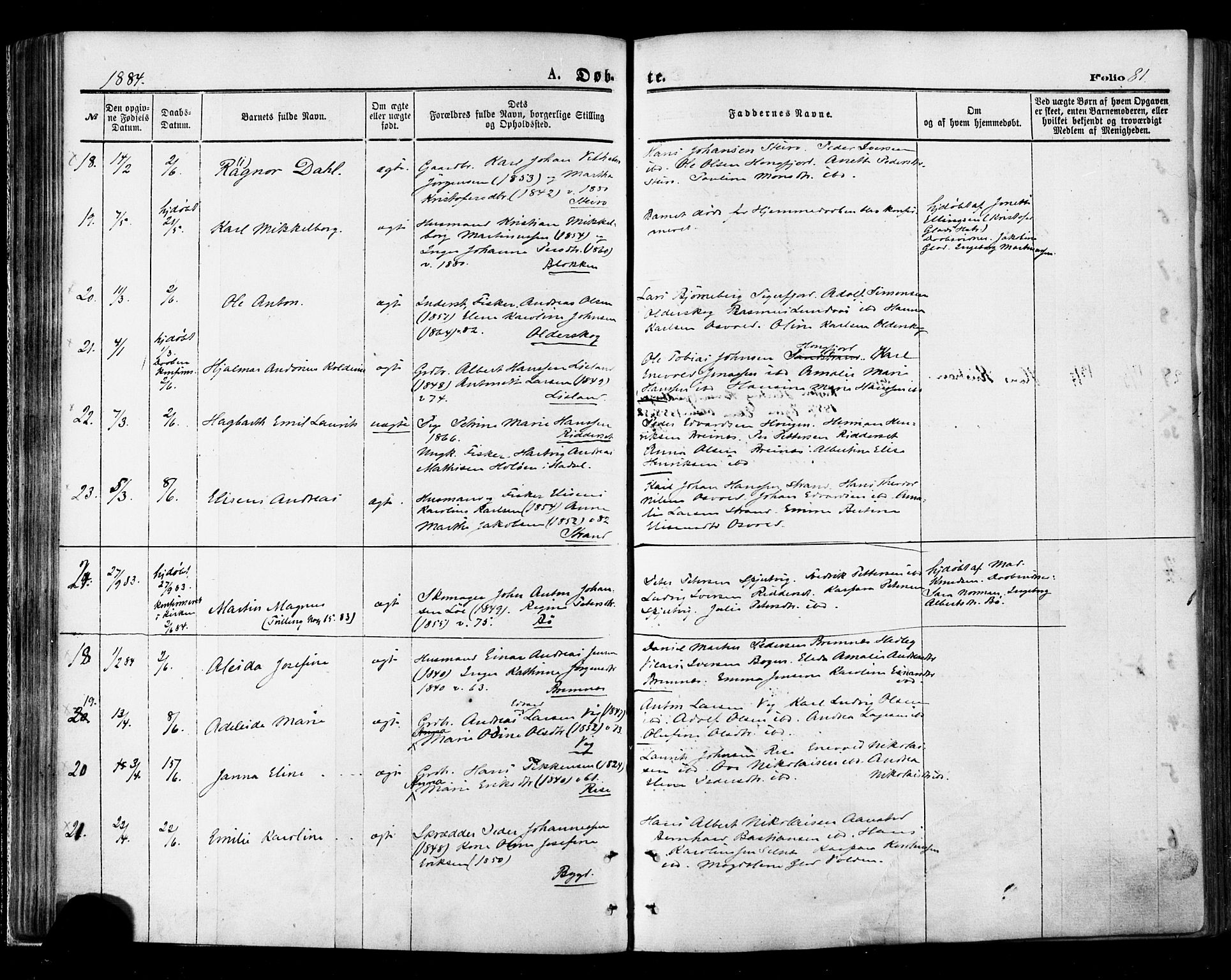 Ministerialprotokoller, klokkerbøker og fødselsregistre - Nordland, AV/SAT-A-1459/895/L1370: Parish register (official) no. 895A05, 1873-1884, p. 81