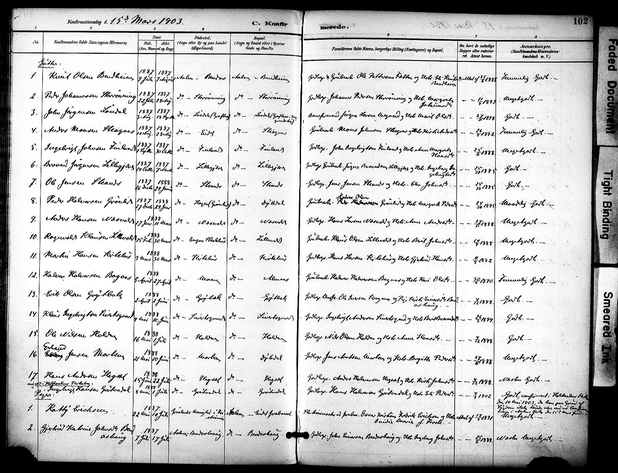 Ministerialprotokoller, klokkerbøker og fødselsregistre - Sør-Trøndelag, AV/SAT-A-1456/686/L0984: Parish register (official) no. 686A02, 1891-1906, p. 102