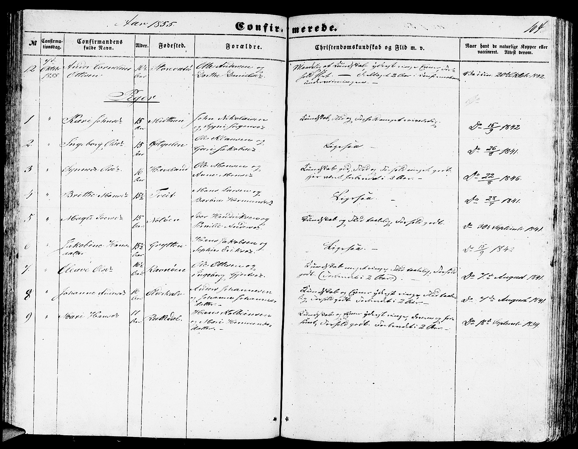 Gulen sokneprestembete, SAB/A-80201/H/Hab/Habb/L0001: Parish register (copy) no. B 1, 1854-1866, p. 104