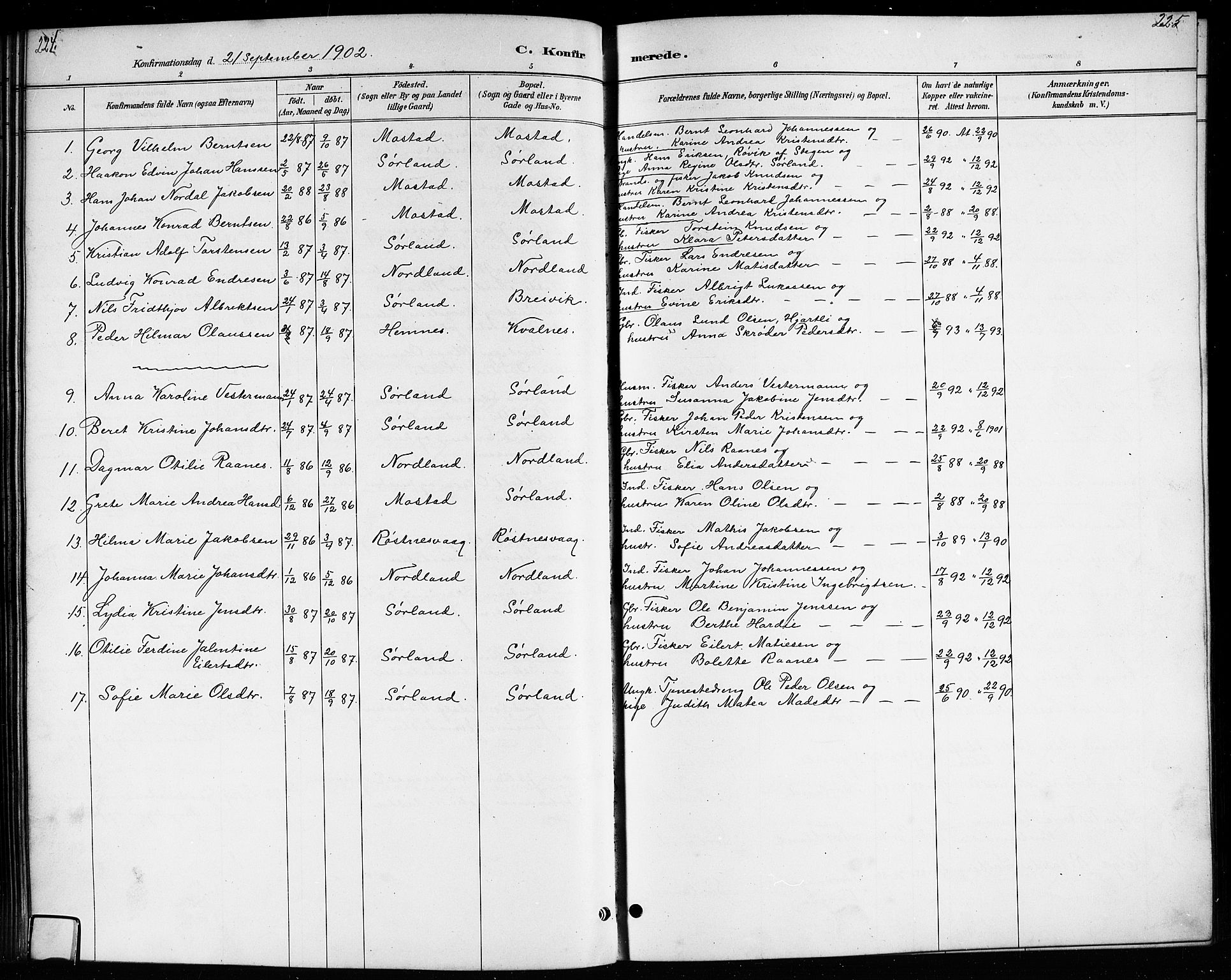 Ministerialprotokoller, klokkerbøker og fødselsregistre - Nordland, SAT/A-1459/807/L0123: Parish register (copy) no. 807C01, 1884-1910, p. 224-225