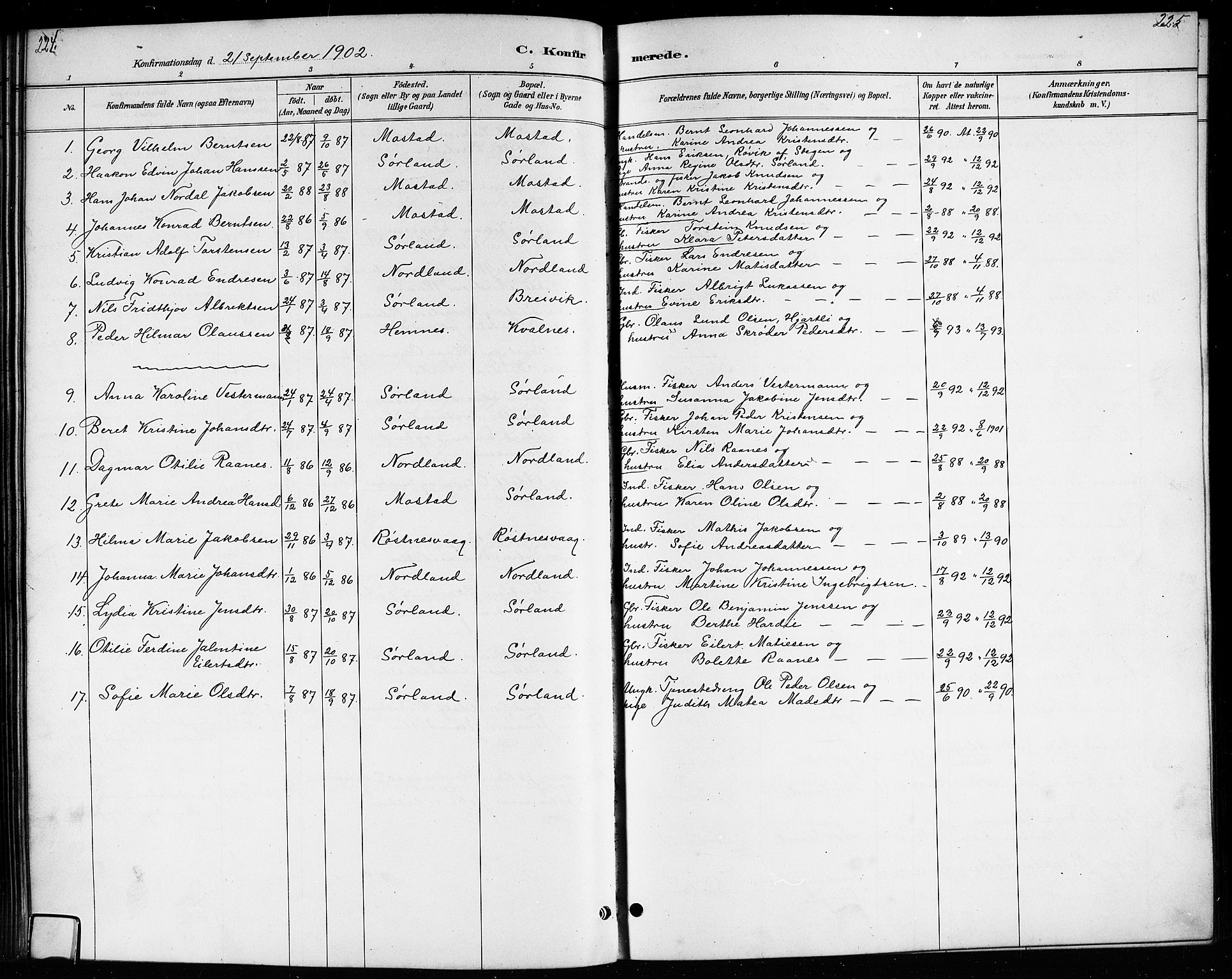 Ministerialprotokoller, klokkerbøker og fødselsregistre - Nordland, AV/SAT-A-1459/807/L0123: Parish register (copy) no. 807C01, 1884-1910, p. 224-225