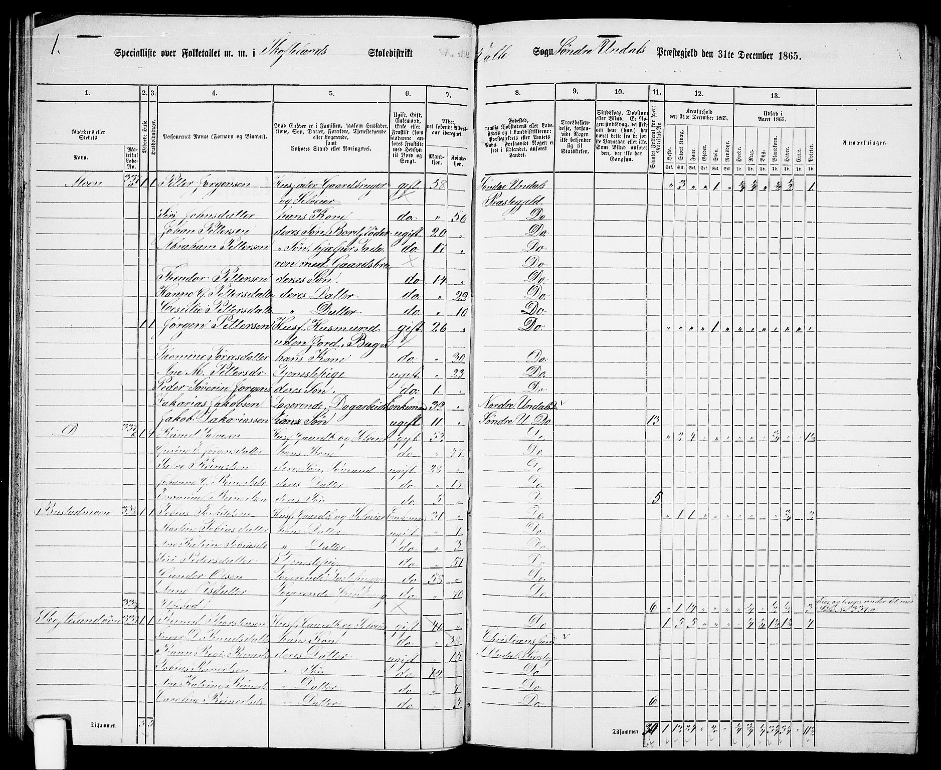 RA, 1865 census for Sør-Audnedal, 1865, p. 43