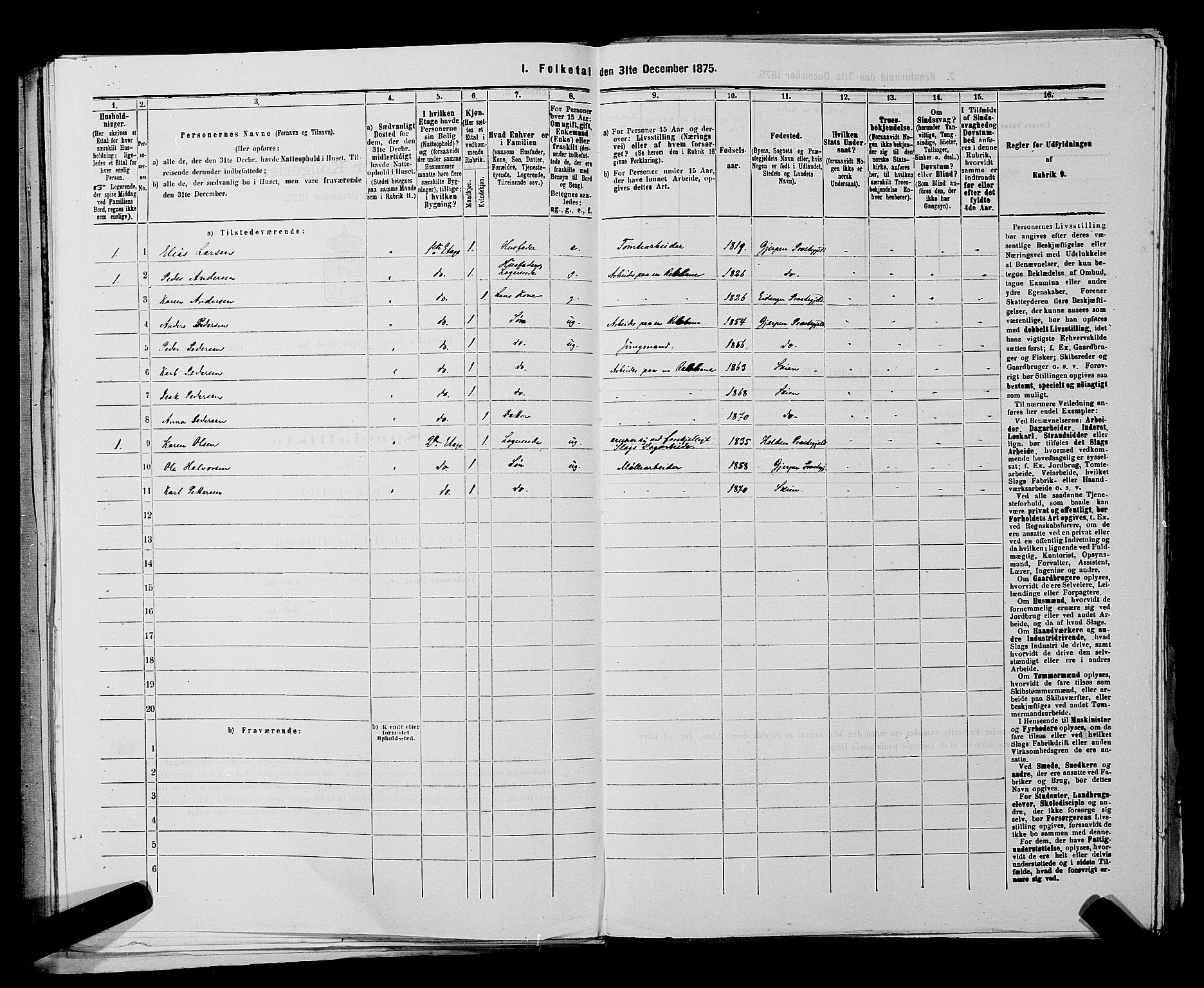 SAKO, 1875 census for 0806P Skien, 1875, p. 871