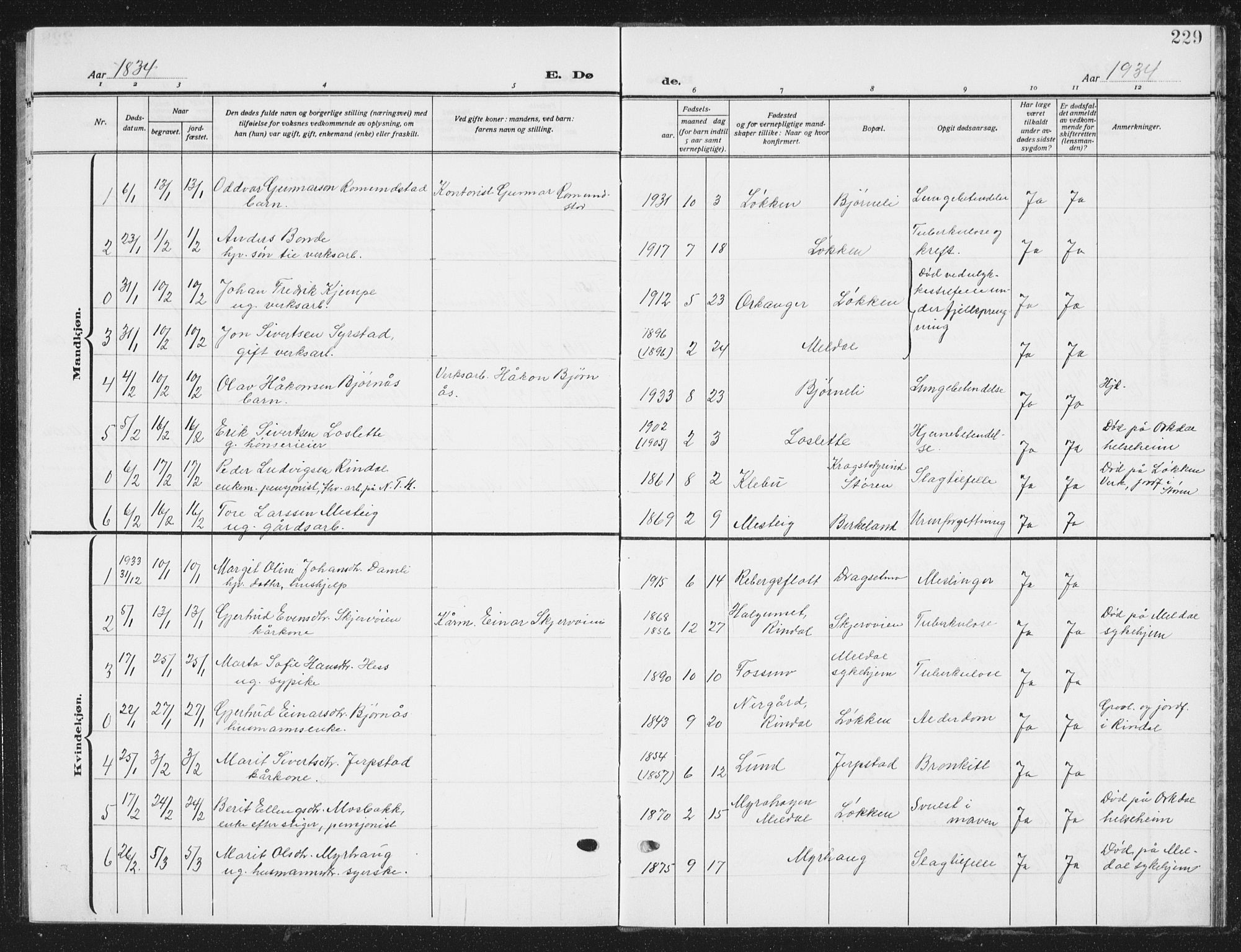 Ministerialprotokoller, klokkerbøker og fødselsregistre - Sør-Trøndelag, SAT/A-1456/672/L0866: Parish register (copy) no. 672C05, 1929-1939, p. 229