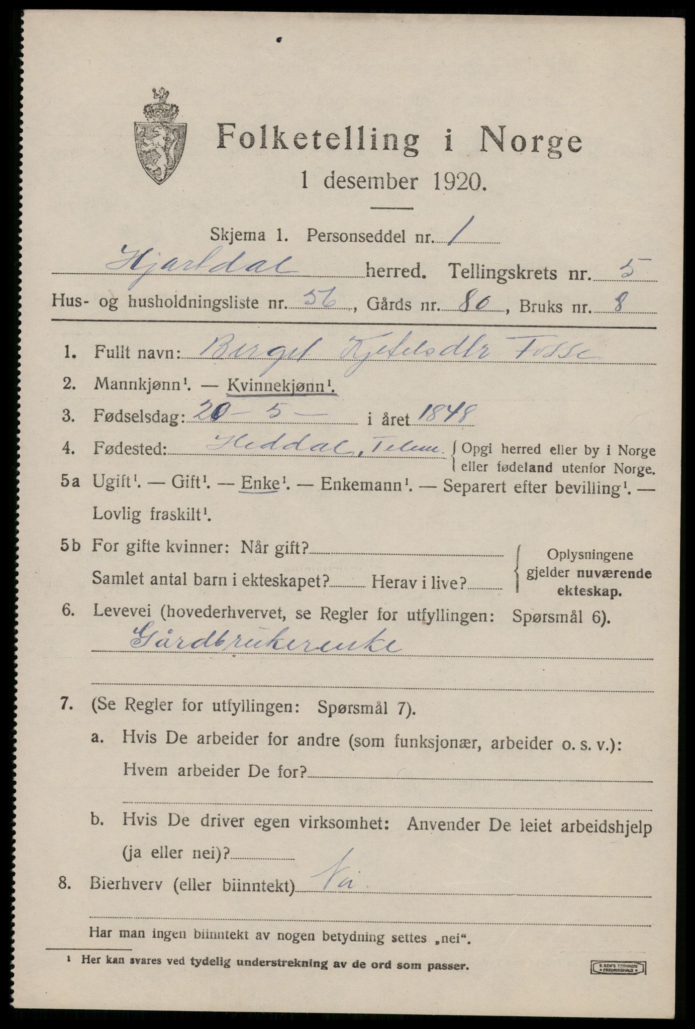 SAKO, 1920 census for Hjartdal, 1920, p. 4016