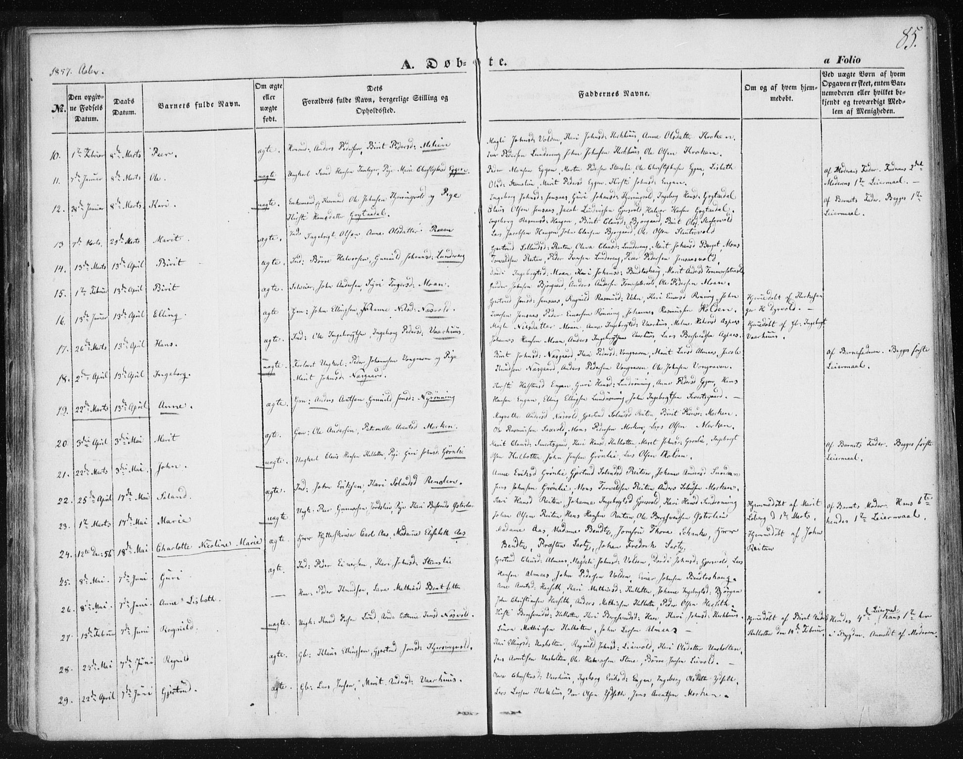 Ministerialprotokoller, klokkerbøker og fødselsregistre - Sør-Trøndelag, SAT/A-1456/685/L0965: Parish register (official) no. 685A06 /3, 1846-1859, p. 85
