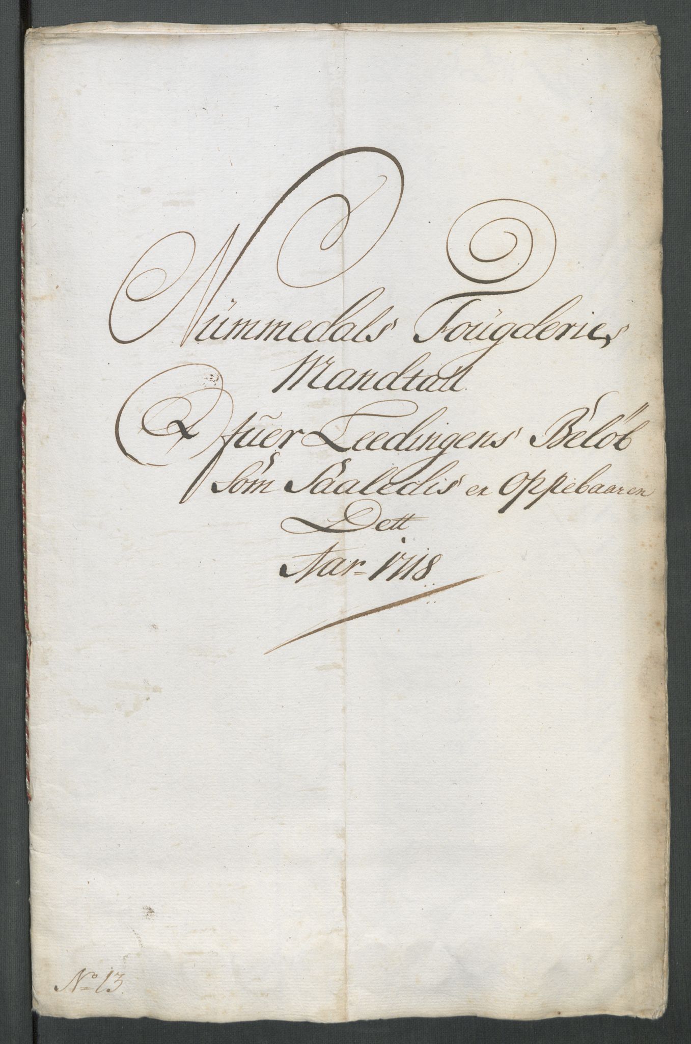 Rentekammeret inntil 1814, Reviderte regnskaper, Fogderegnskap, AV/RA-EA-4092/R64/L4439: Fogderegnskap Namdal, 1718, p. 159