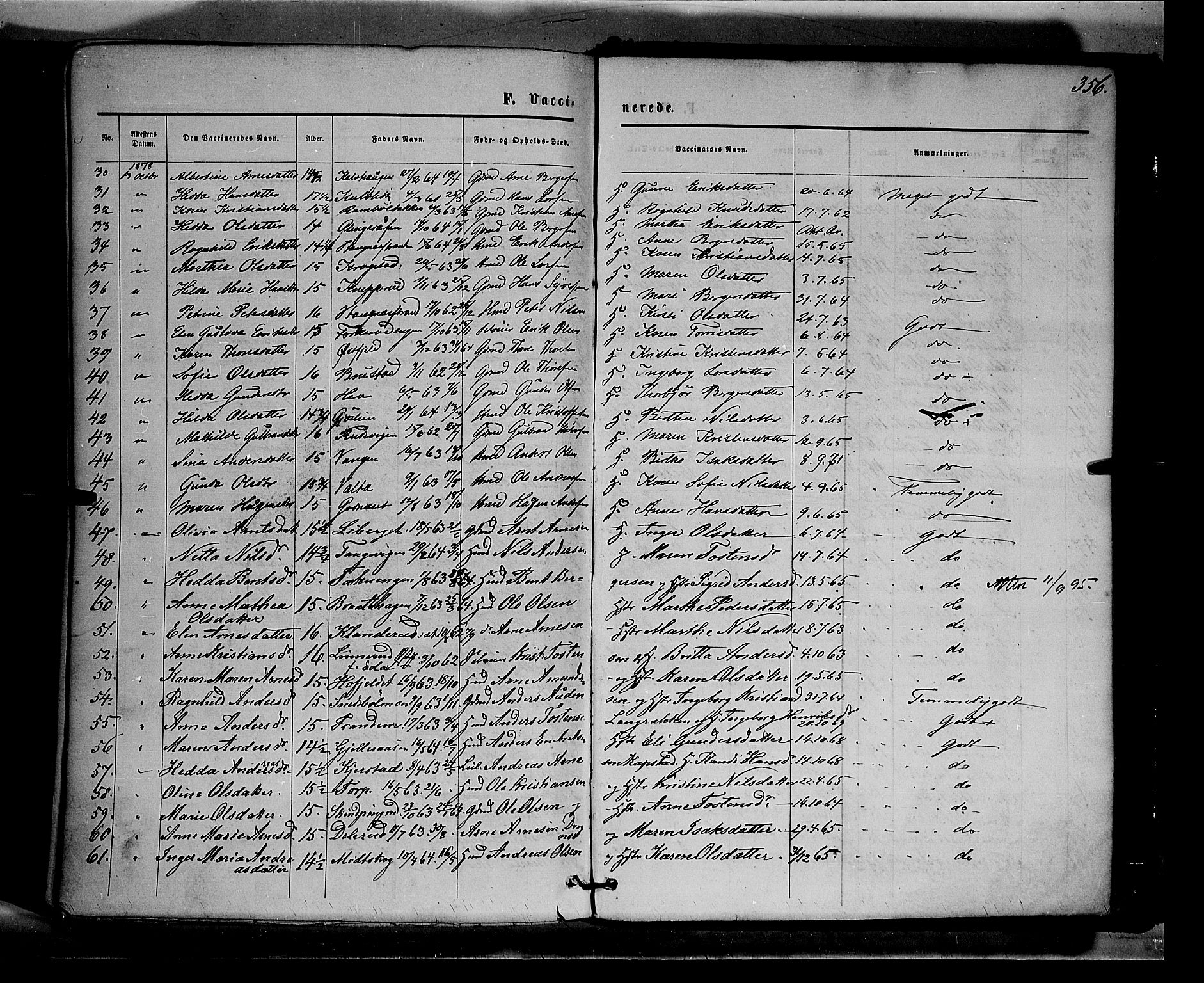 Eidskog prestekontor, AV/SAH-PREST-026/H/Ha/Haa/L0002: Parish register (official) no. 2, 1867-1878, p. 356