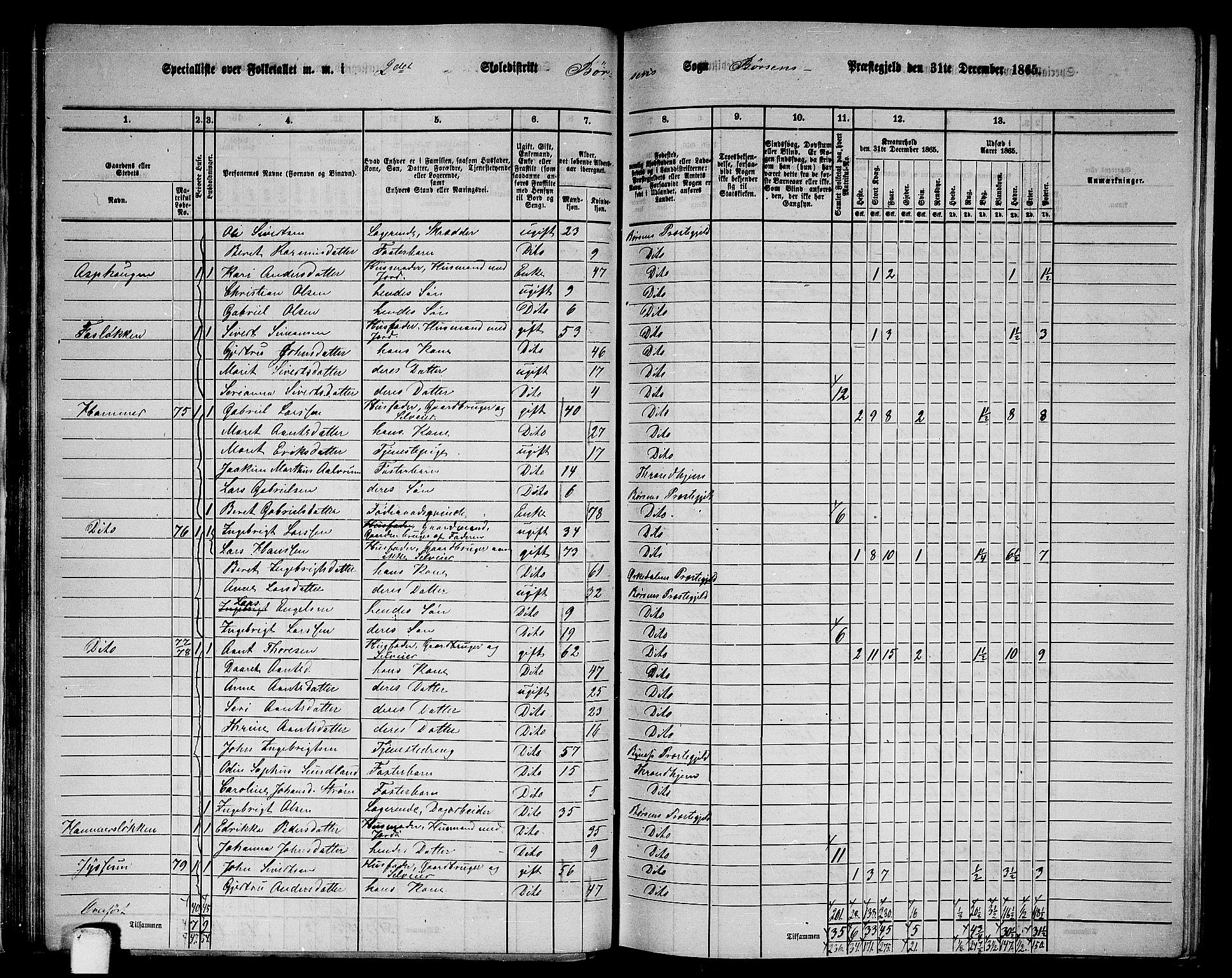 RA, 1865 census for Børsa, 1865, p. 39