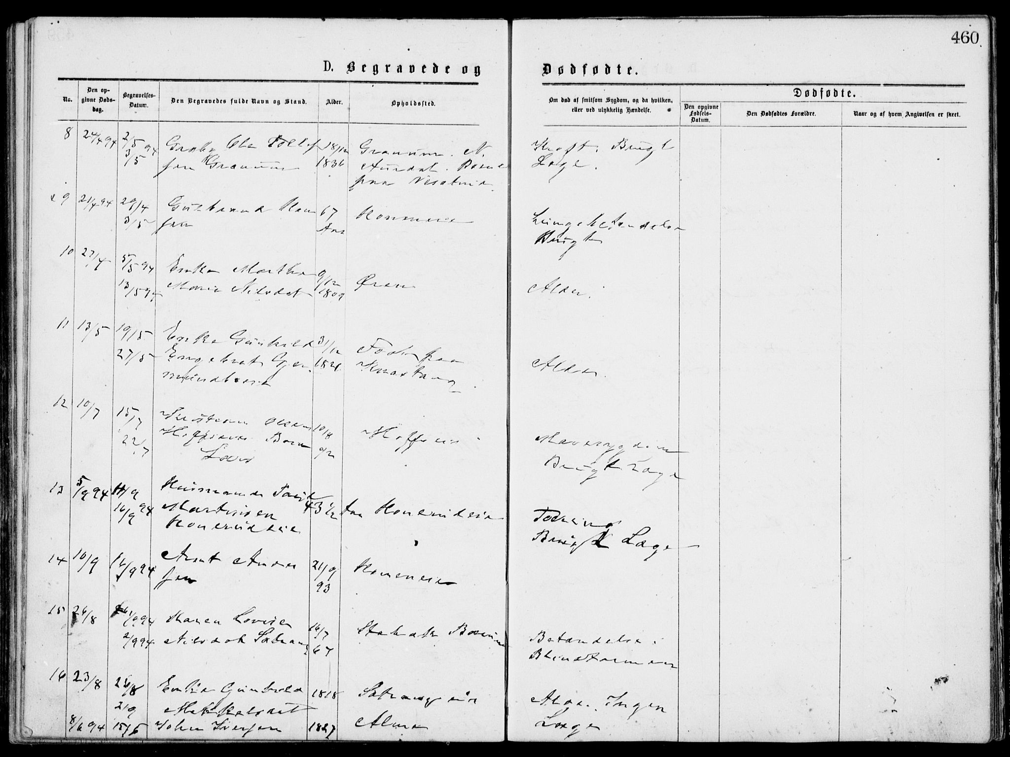 Norderhov kirkebøker, AV/SAKO-A-237/G/Gb/L0001: Parish register (copy) no. II 1, 1876-1899, p. 460