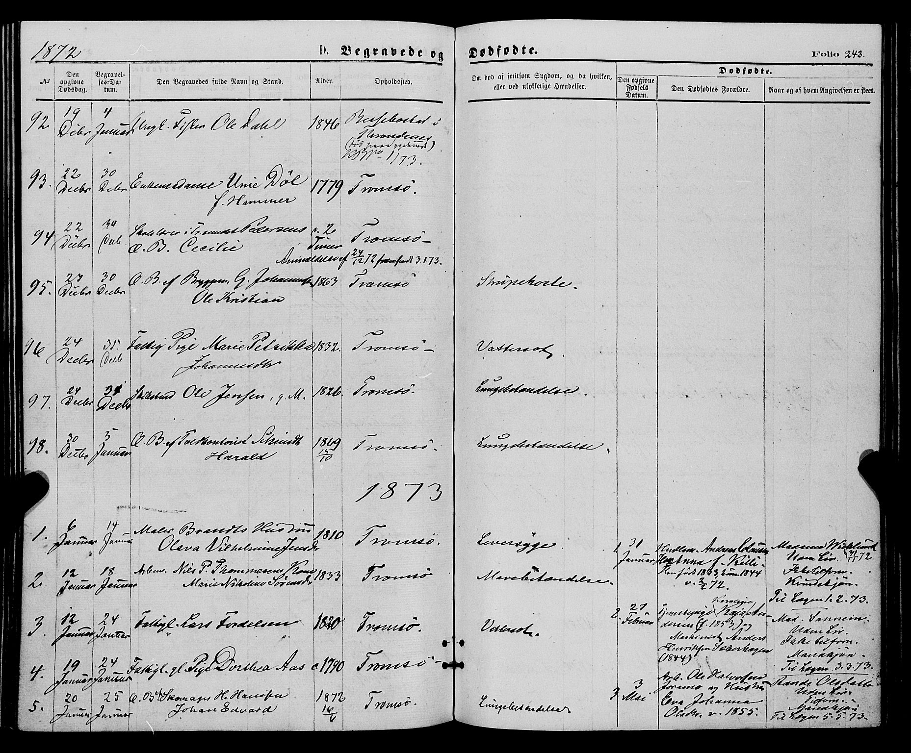 Tromsø sokneprestkontor/stiftsprosti/domprosti, SATØ/S-1343/G/Ga/L0013kirke: Parish register (official) no. 13, 1872-1877, p. 243