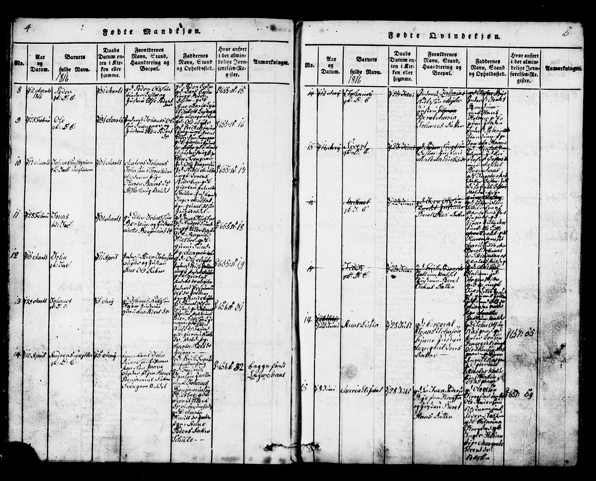 Ministerialprotokoller, klokkerbøker og fødselsregistre - Nord-Trøndelag, AV/SAT-A-1458/717/L0169: Parish register (copy) no. 717C01, 1816-1834, p. 4-5