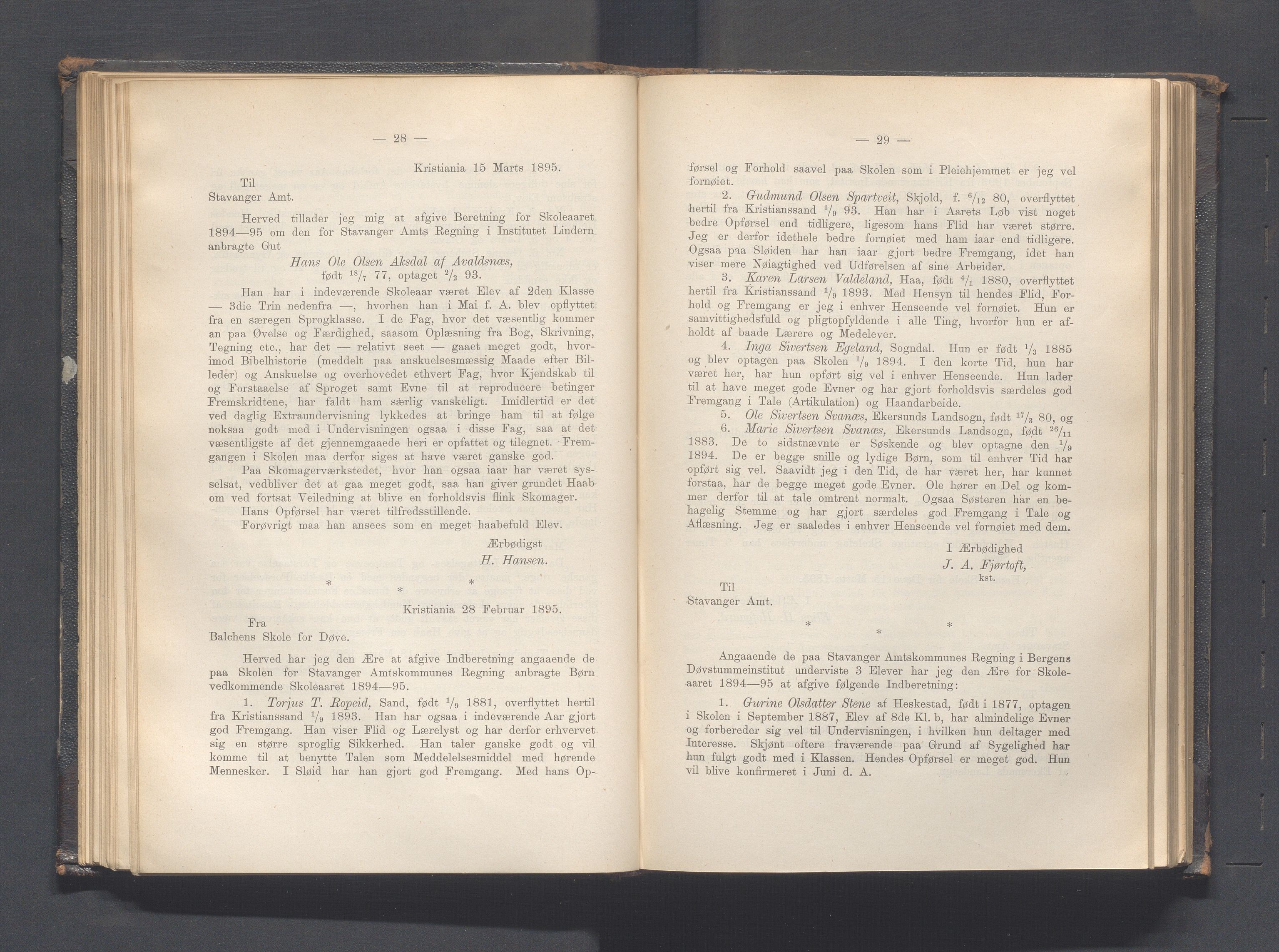 Rogaland fylkeskommune - Fylkesrådmannen , IKAR/A-900/A, 1895, p. 88