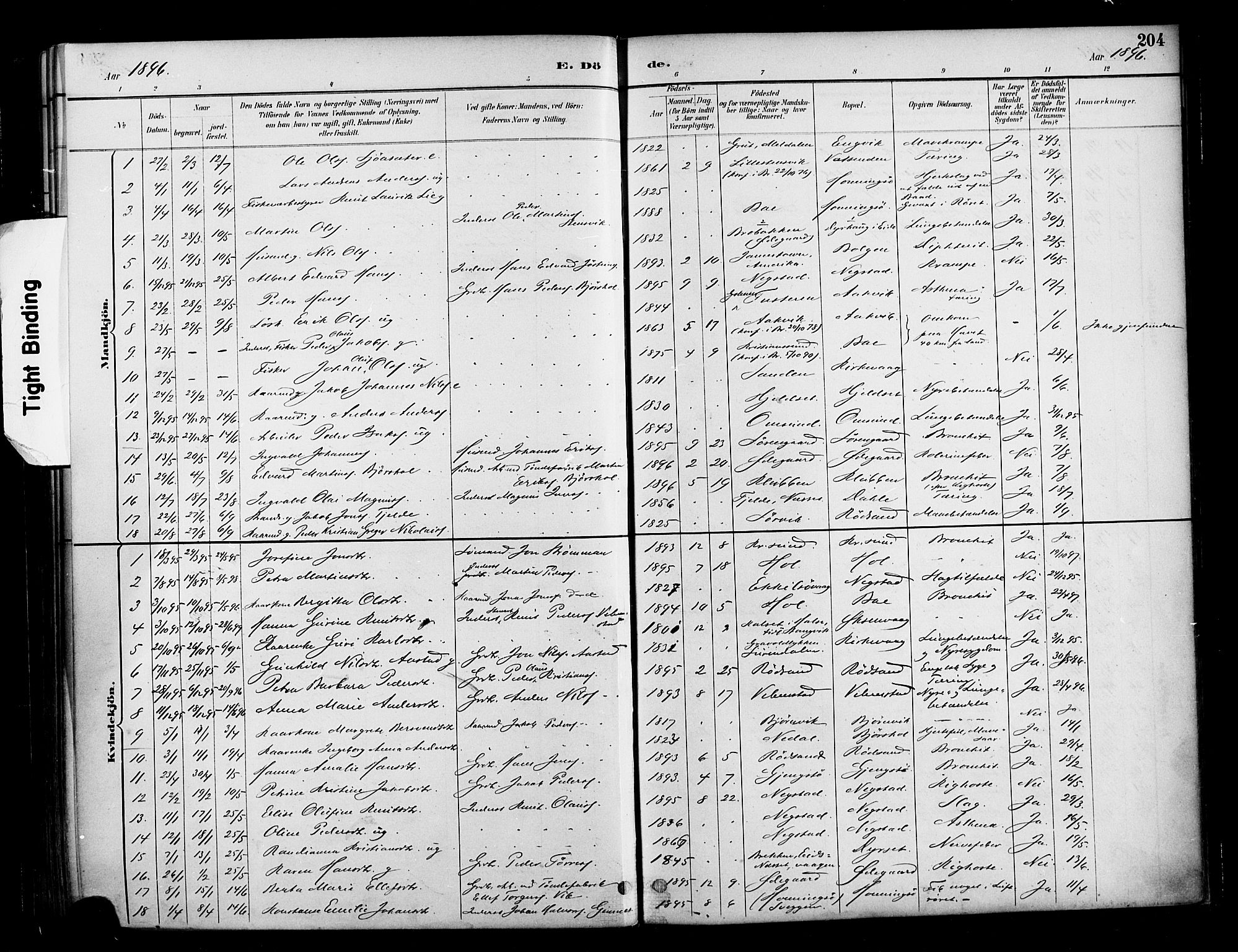 Ministerialprotokoller, klokkerbøker og fødselsregistre - Møre og Romsdal, SAT/A-1454/569/L0819: Parish register (official) no. 569A05, 1885-1899, p. 204