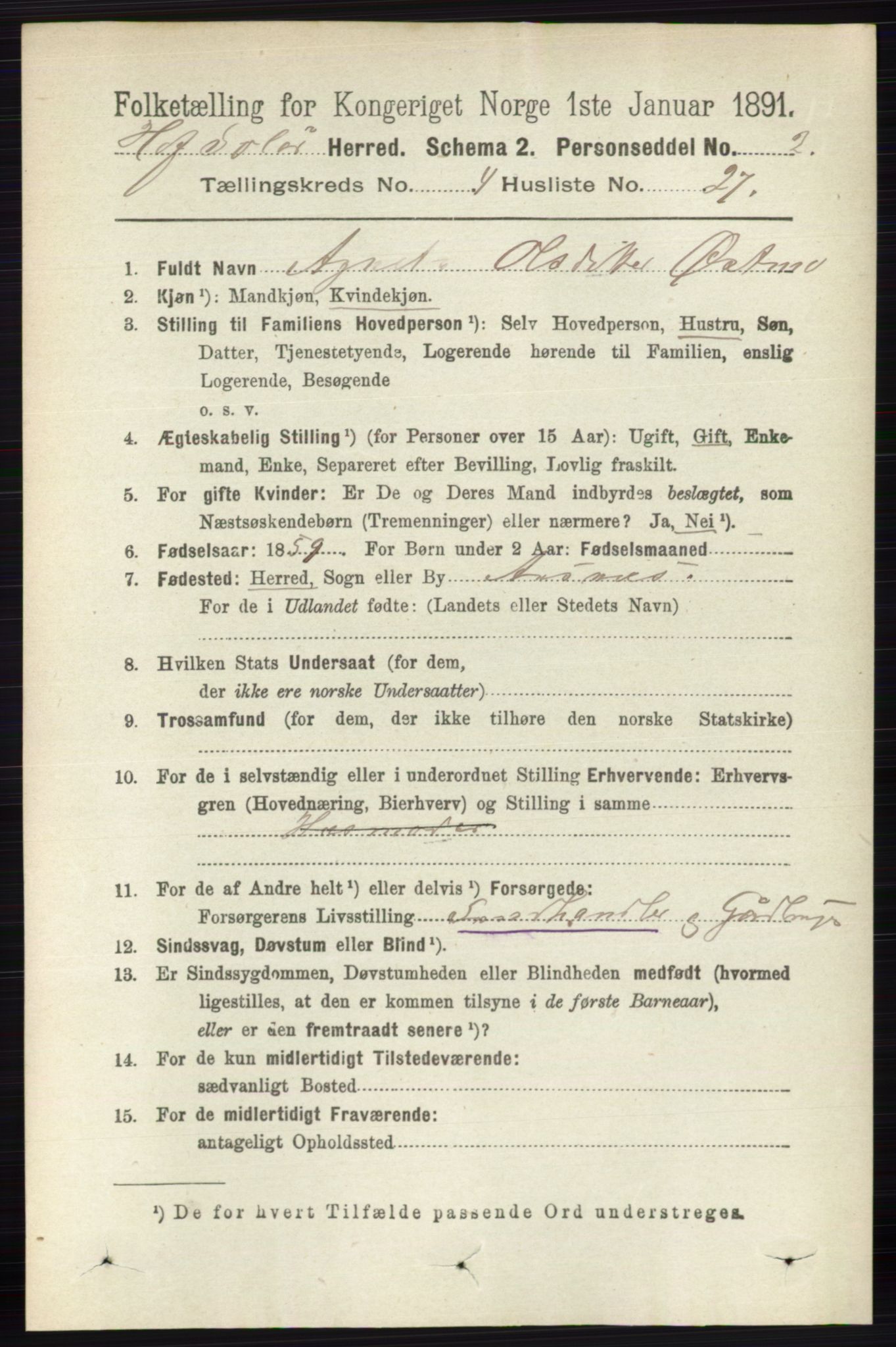 RA, 1891 census for 0424 Hof, 1891, p. 1611