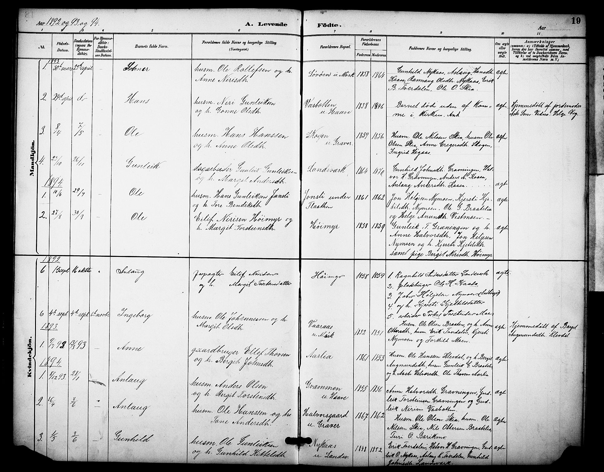 Heddal kirkebøker, AV/SAKO-A-268/F/Fb/L0001: Parish register (official) no. II 1, 1884-1910, p. 19