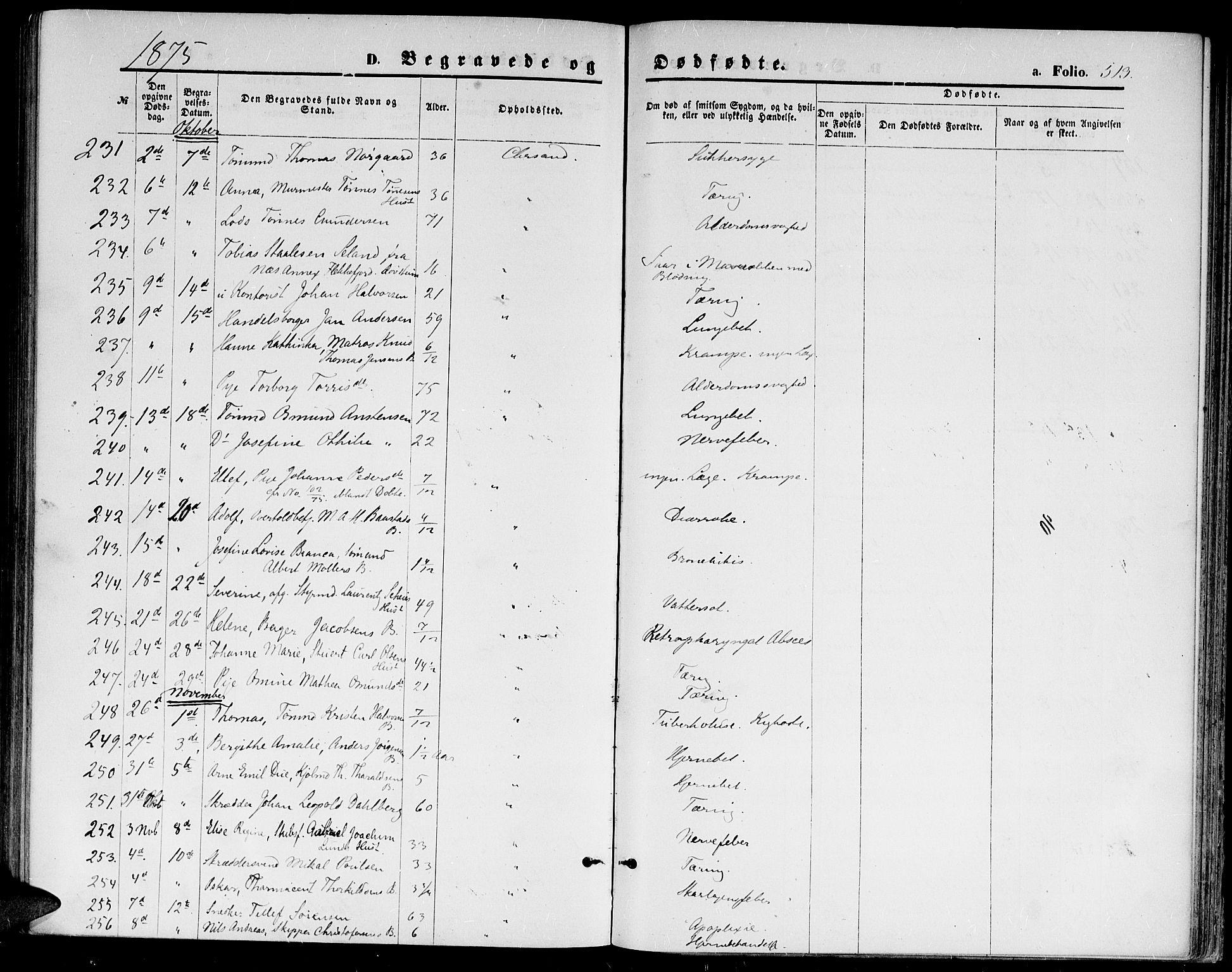 Kristiansand domprosti, AV/SAK-1112-0006/F/Fb/L0013: Parish register (copy) no. B 13, 1871-1880, p. 513