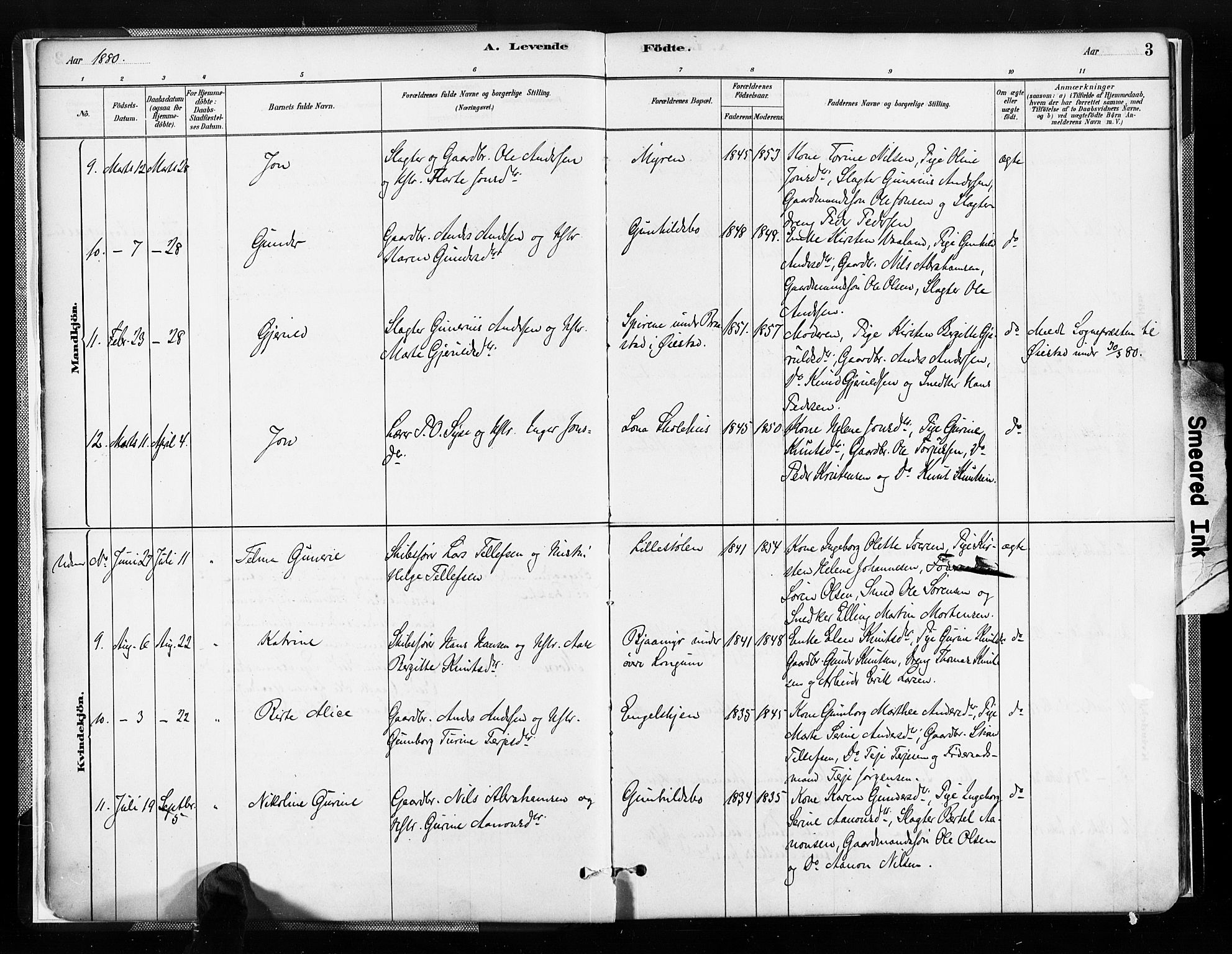 Austre Moland sokneprestkontor, AV/SAK-1111-0001/F/Fa/Faa/L0010: Parish register (official) no. A 10, 1880-1904, p. 3