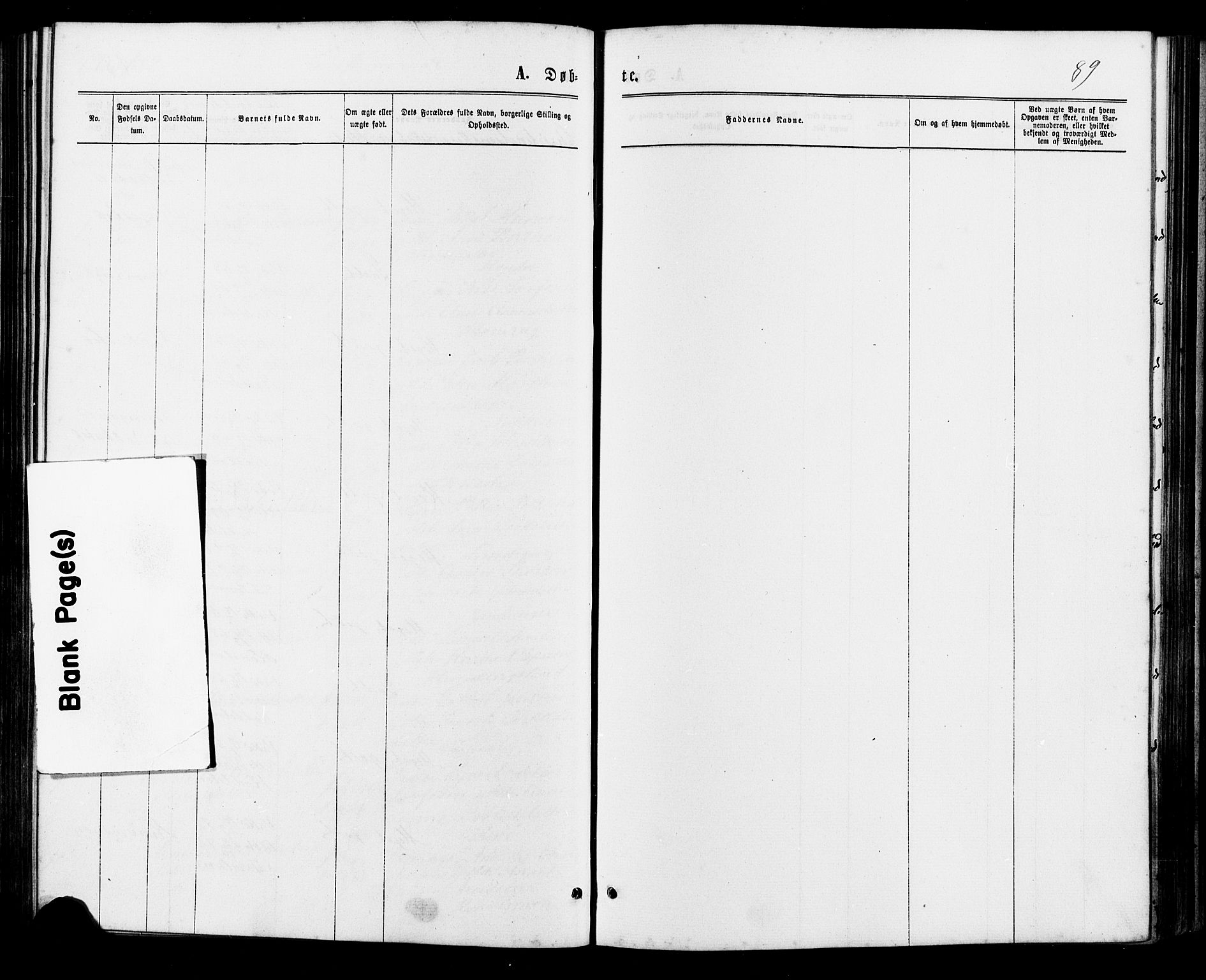 Lyngdal sokneprestkontor, AV/SAK-1111-0029/F/Fa/Faa/L0003: Parish register (official) no. A 3, 1871-1882, p. 89