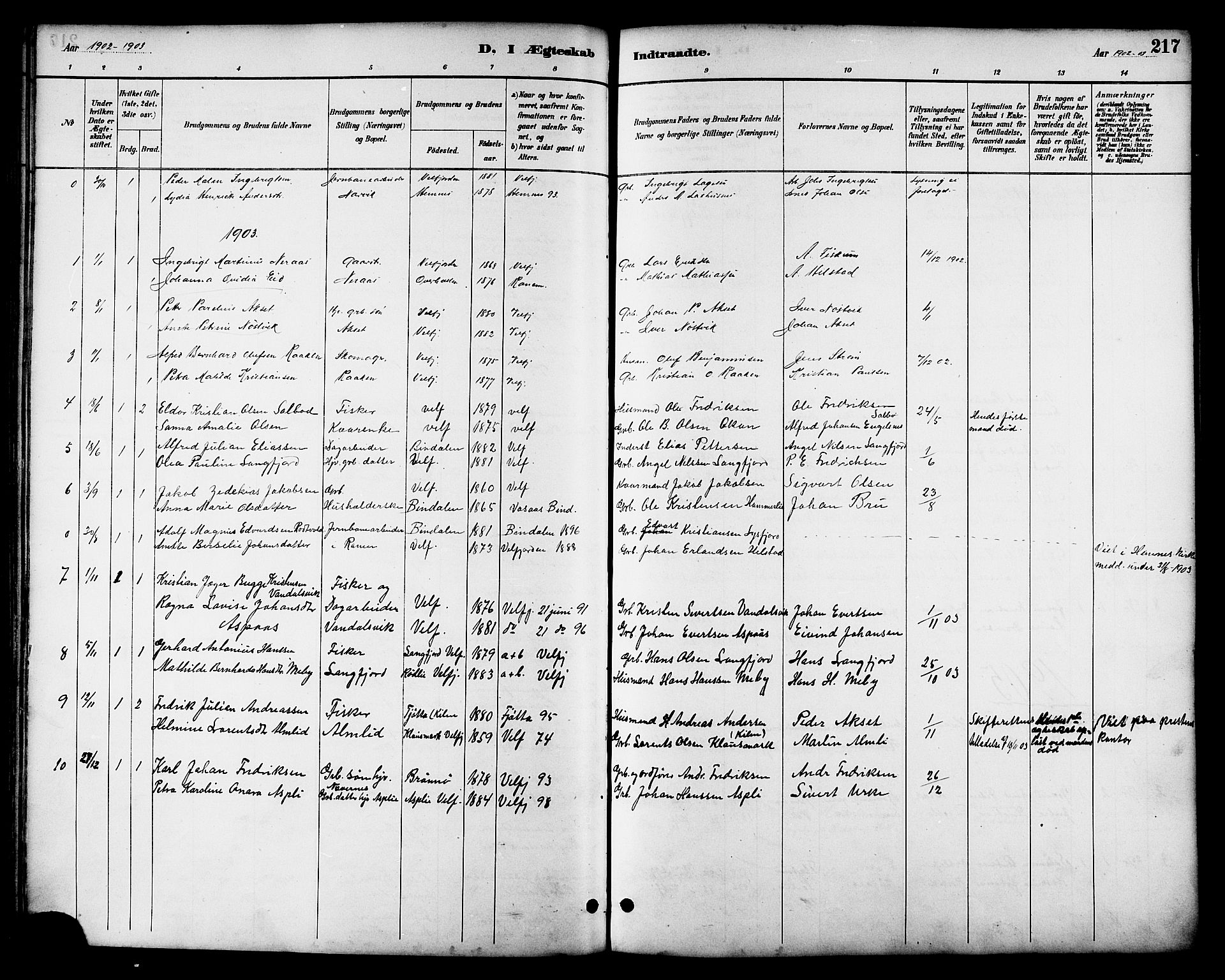 Ministerialprotokoller, klokkerbøker og fødselsregistre - Nordland, SAT/A-1459/814/L0230: Parish register (copy) no. 814C03, 1884-1911, p. 217