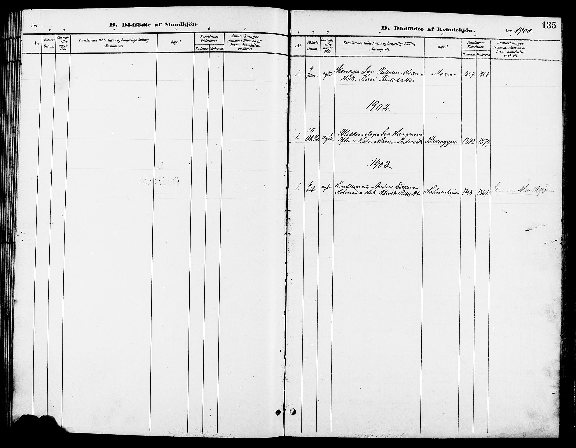 Tynset prestekontor, SAH/PREST-058/H/Ha/Hab/L0009: Parish register (copy) no. 9, 1900-1914, p. 135