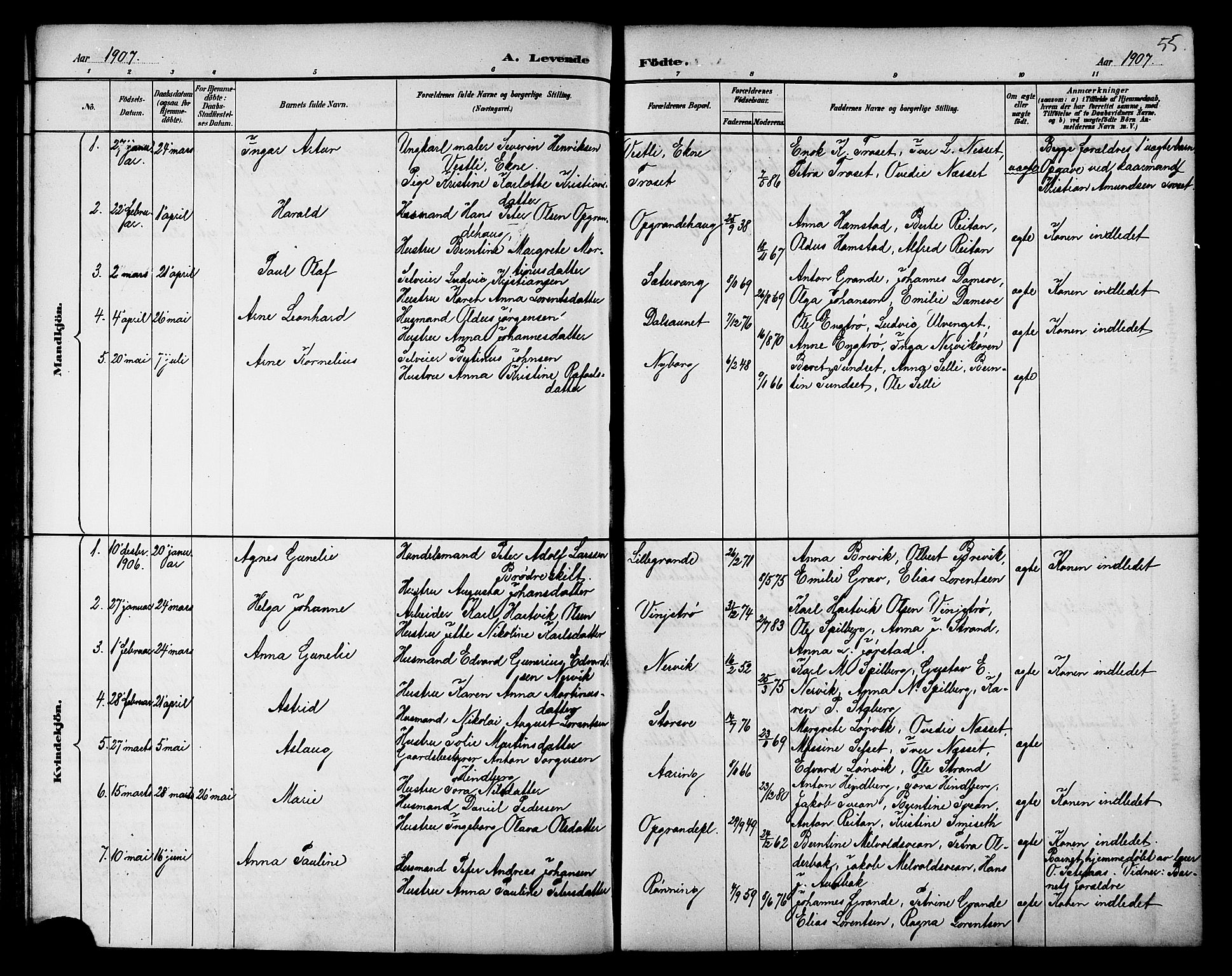 Ministerialprotokoller, klokkerbøker og fødselsregistre - Nord-Trøndelag, SAT/A-1458/733/L0327: Parish register (copy) no. 733C02, 1888-1918, p. 55