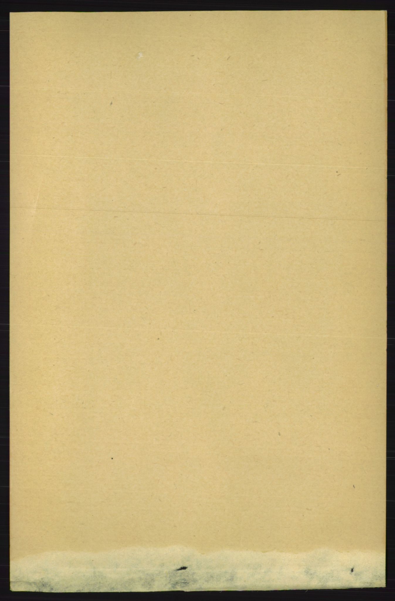 RA, 1891 census for 1824 Vefsn, 1891, p. 2083