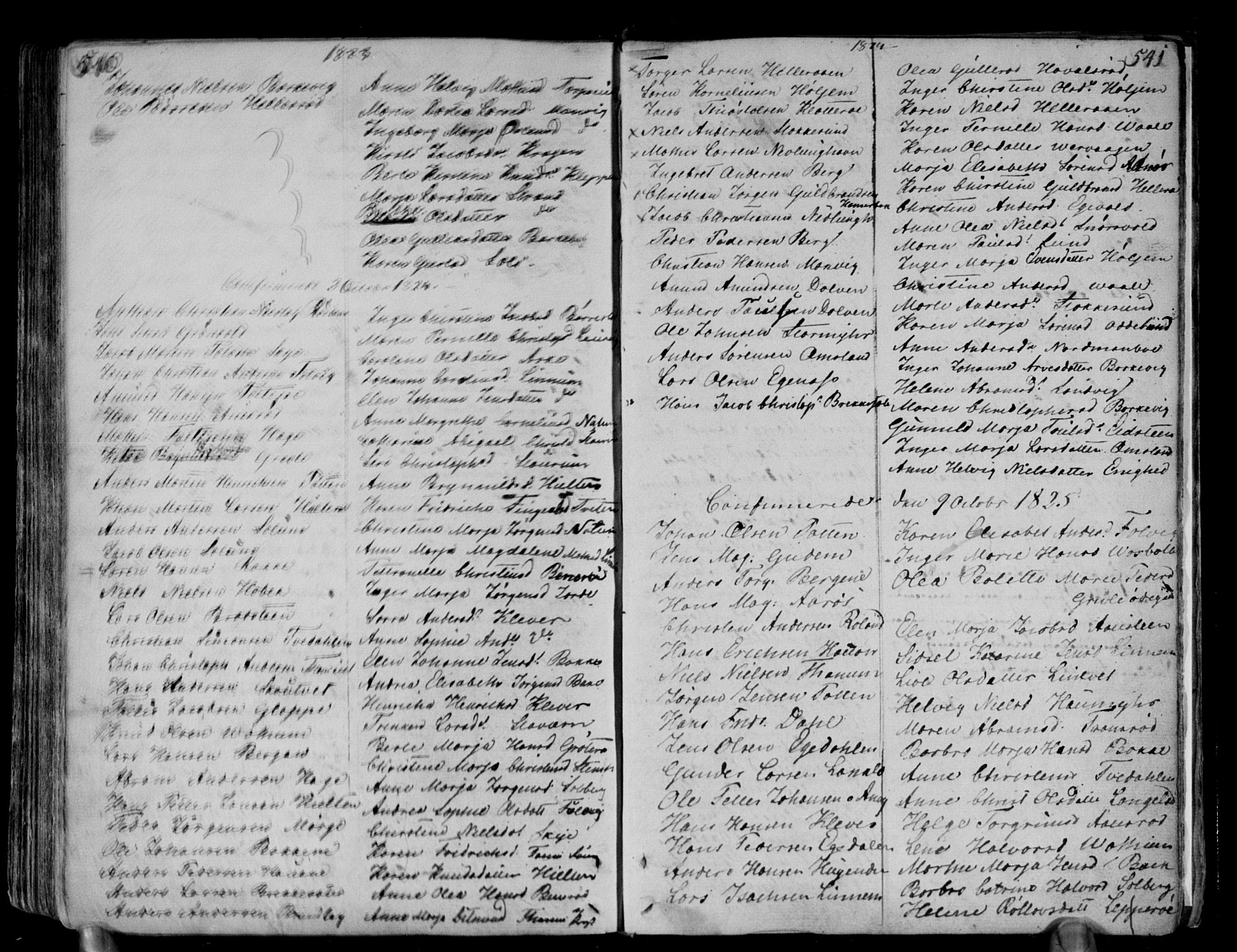 Brunlanes kirkebøker, SAKO/A-342/F/Fa/L0002: Parish register (official) no. I 2, 1802-1834, p. 540-541