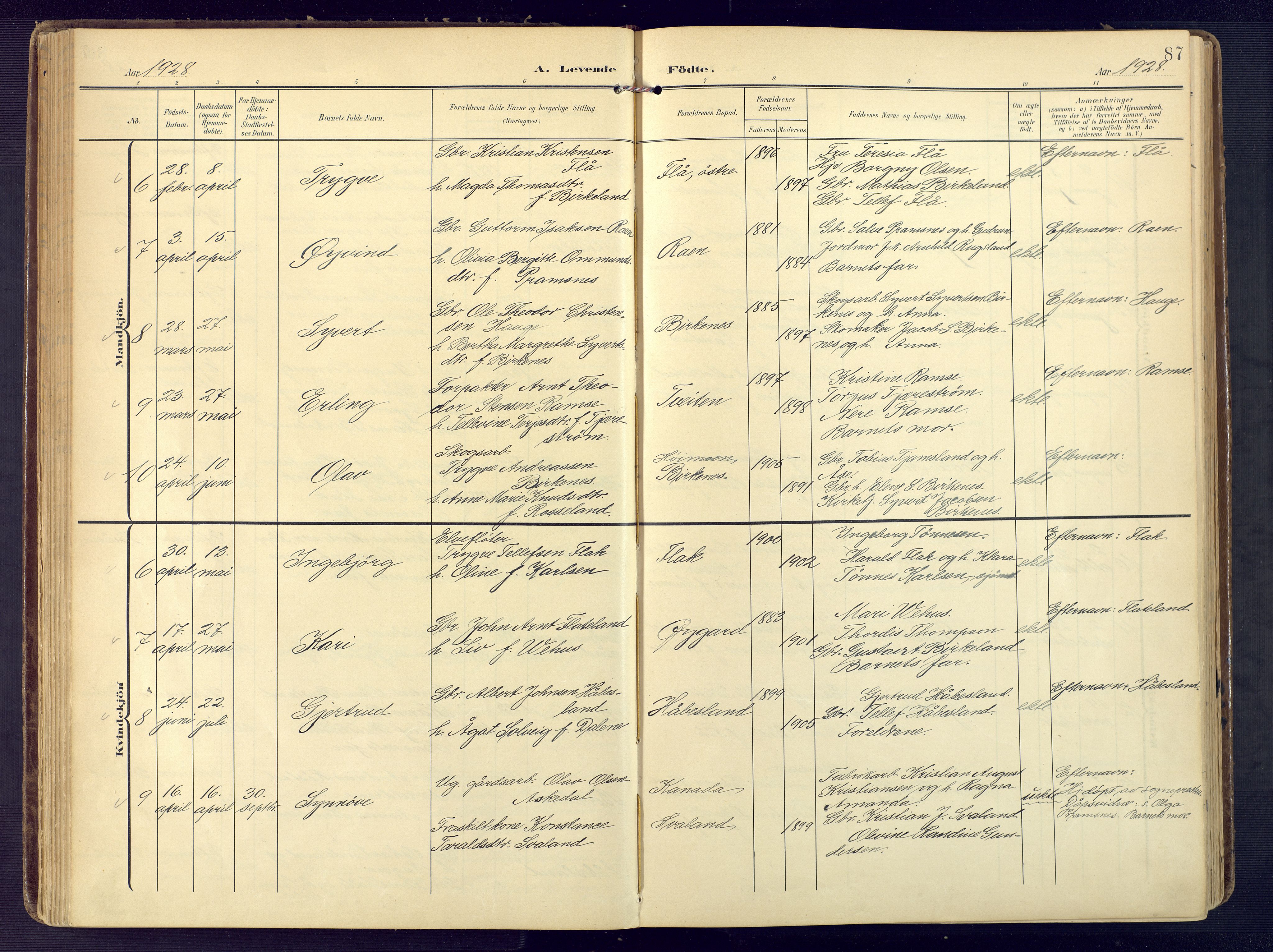 Birkenes sokneprestkontor, SAK/1111-0004/F/Fa/L0006: Parish register (official) no. A 6, 1908-1932, p. 87