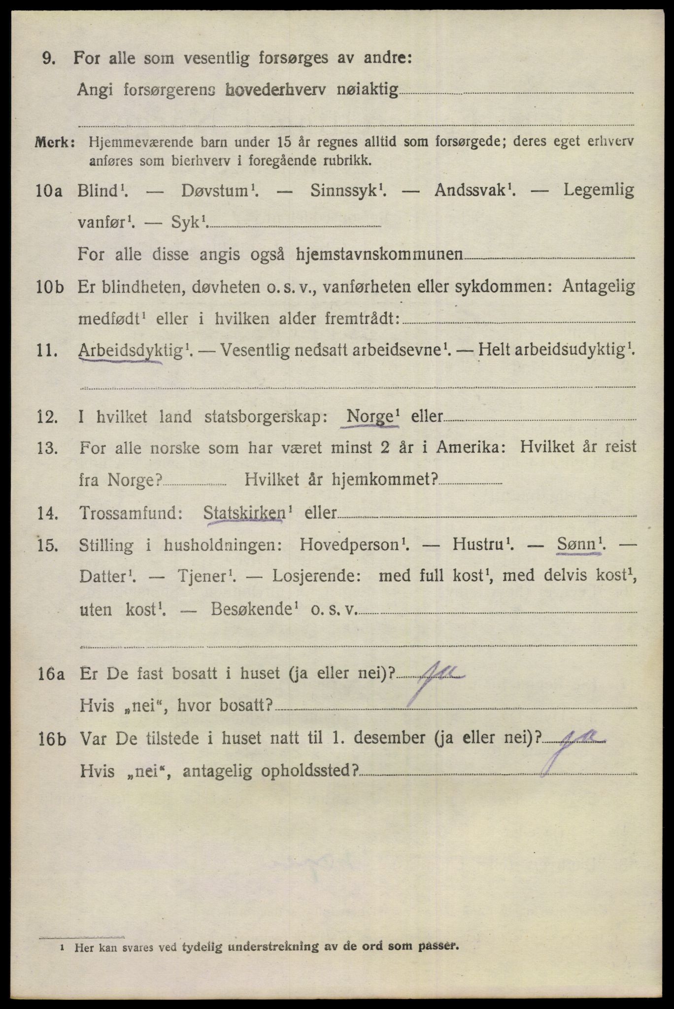 SAKO, 1920 census for Nes (Buskerud), 1920, p. 5929