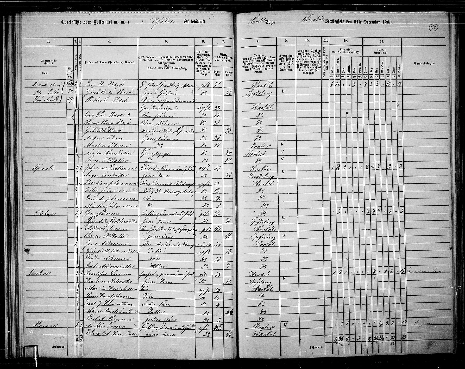 RA, 1865 census for Hobøl, 1865, p. 49