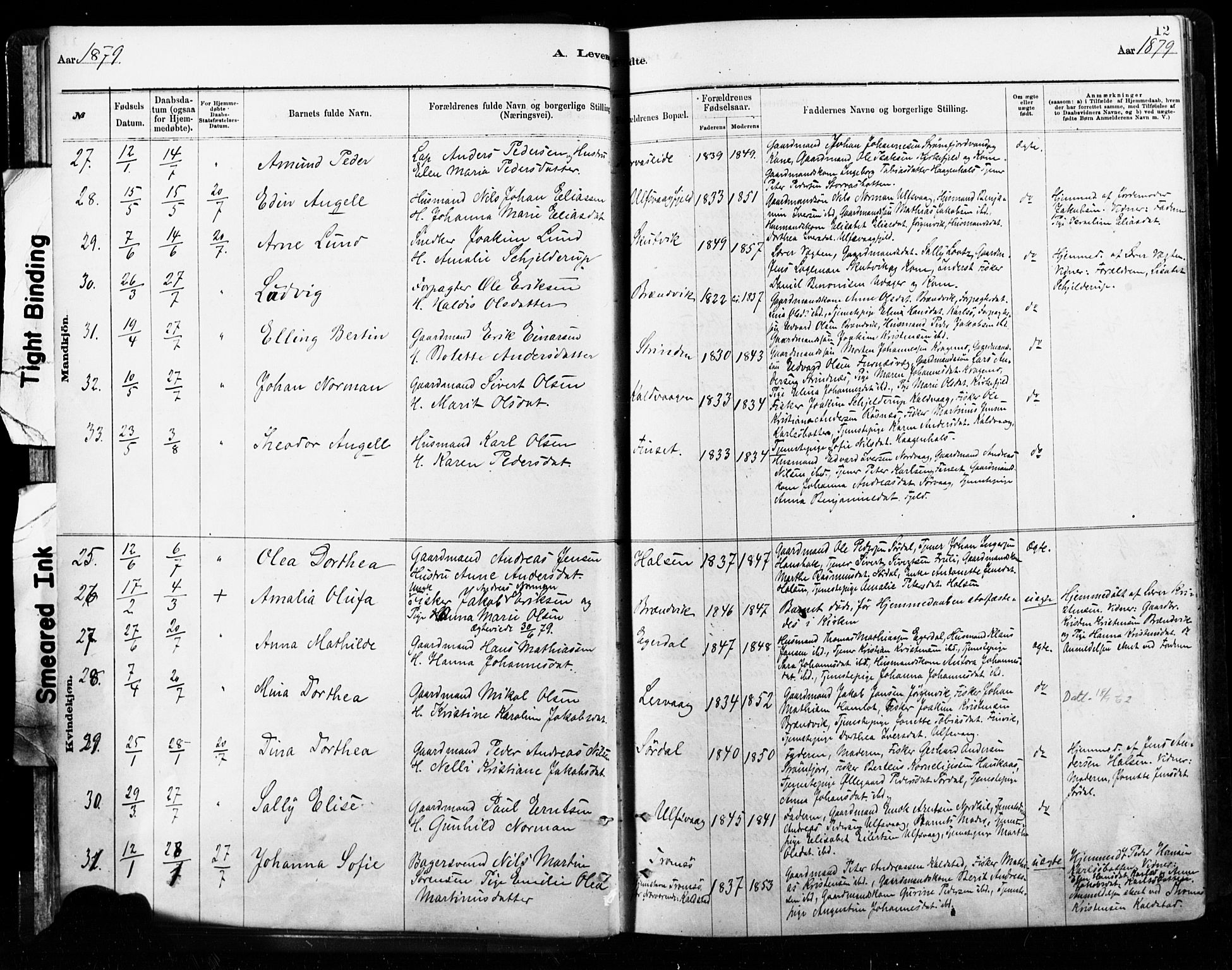 Ministerialprotokoller, klokkerbøker og fødselsregistre - Nordland, AV/SAT-A-1459/859/L0846: Parish register (official) no. 859A06, 1878-1889, p. 12