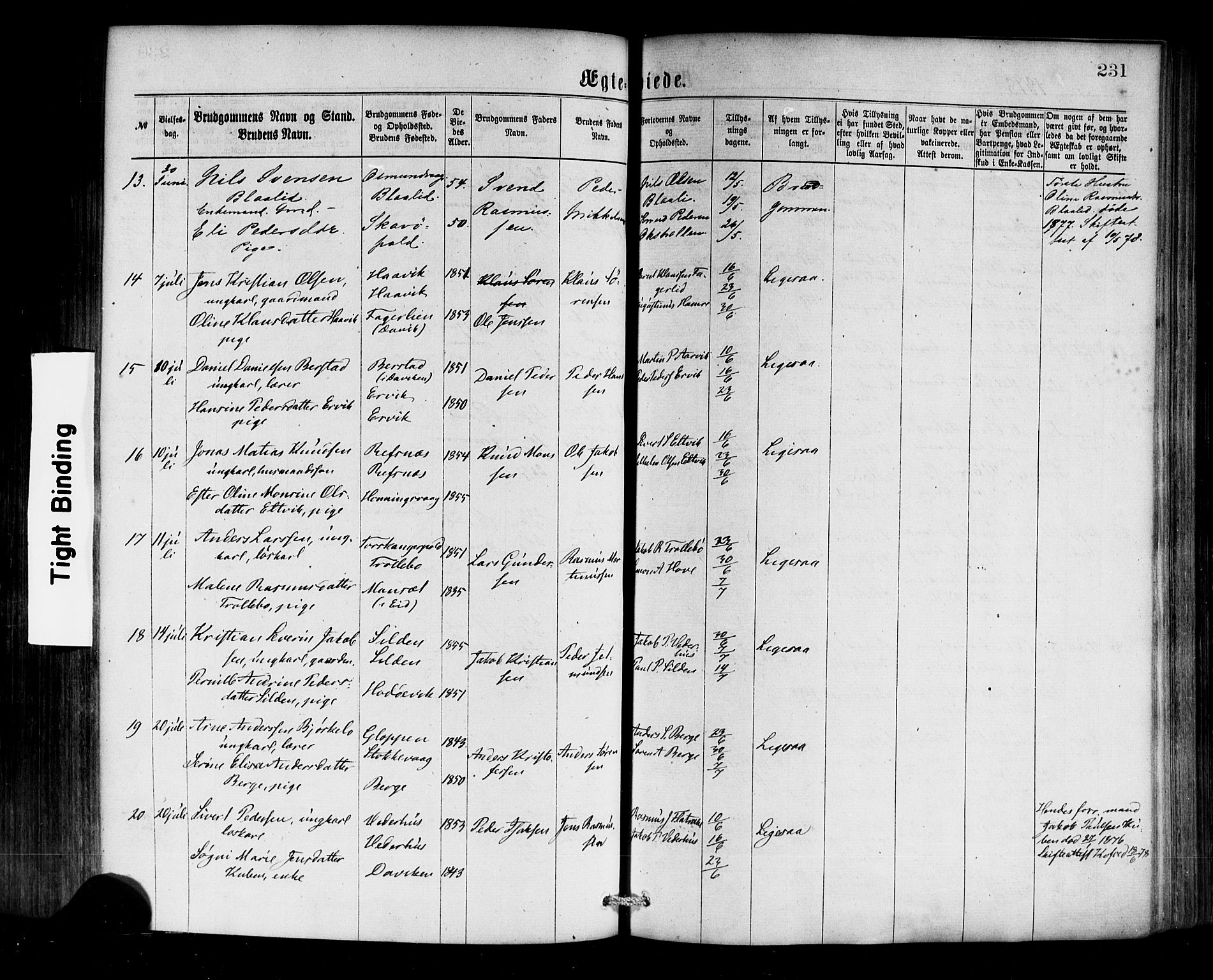 Selje sokneprestembete, SAB/A-99938/H/Ha/Haa/Haaa: Parish register (official) no. A 12, 1870-1880, p. 231